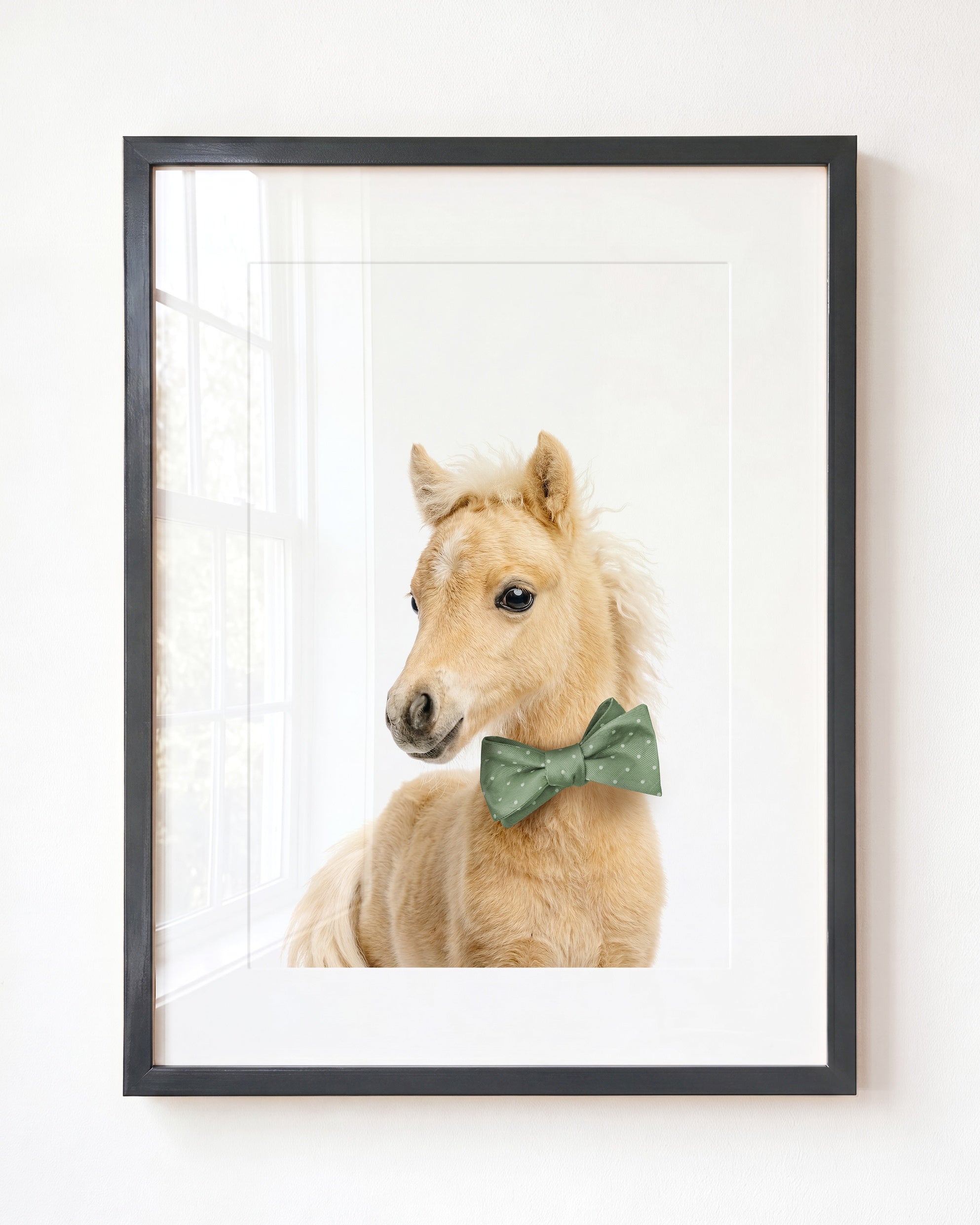 Baby Horse