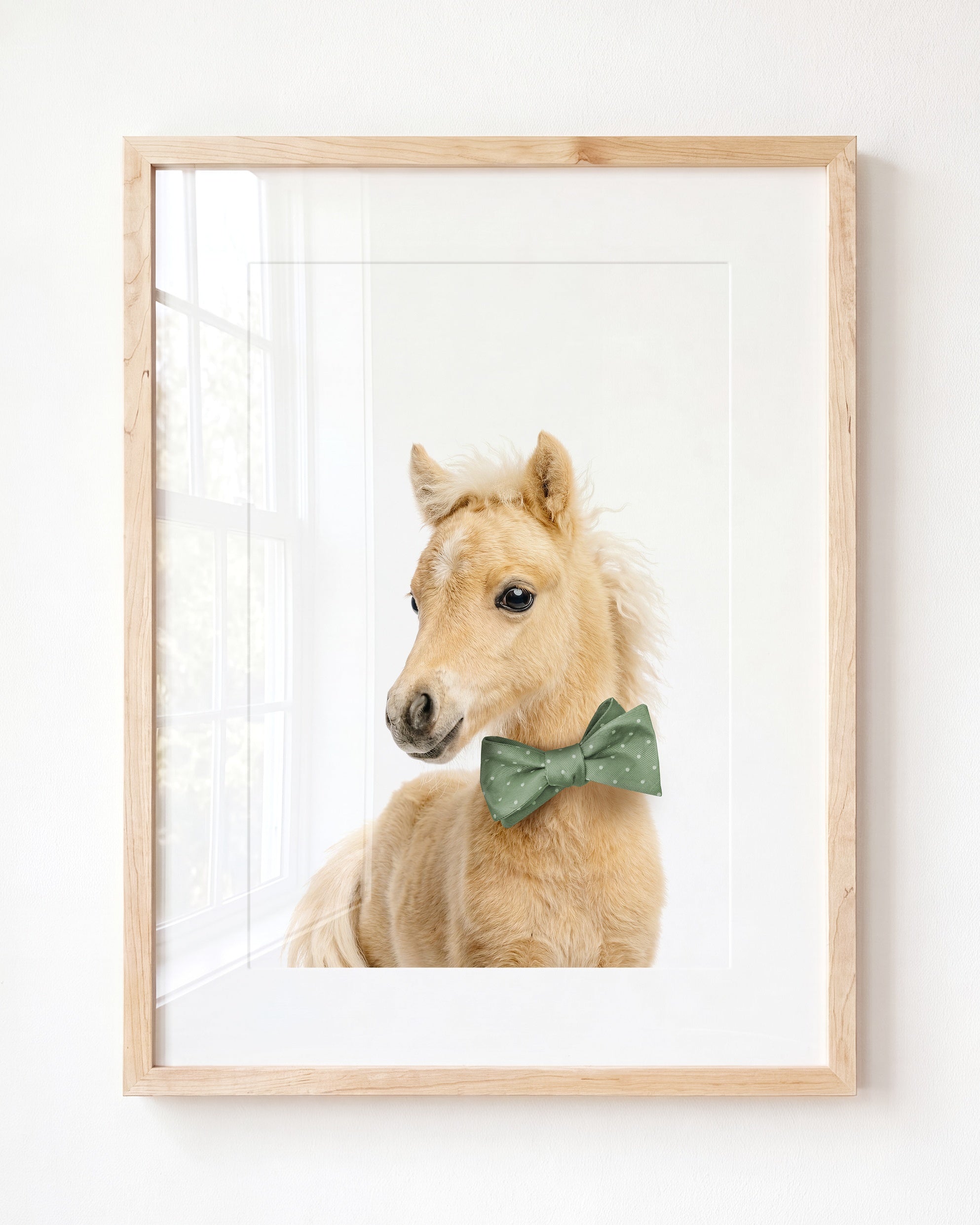 Baby Horse