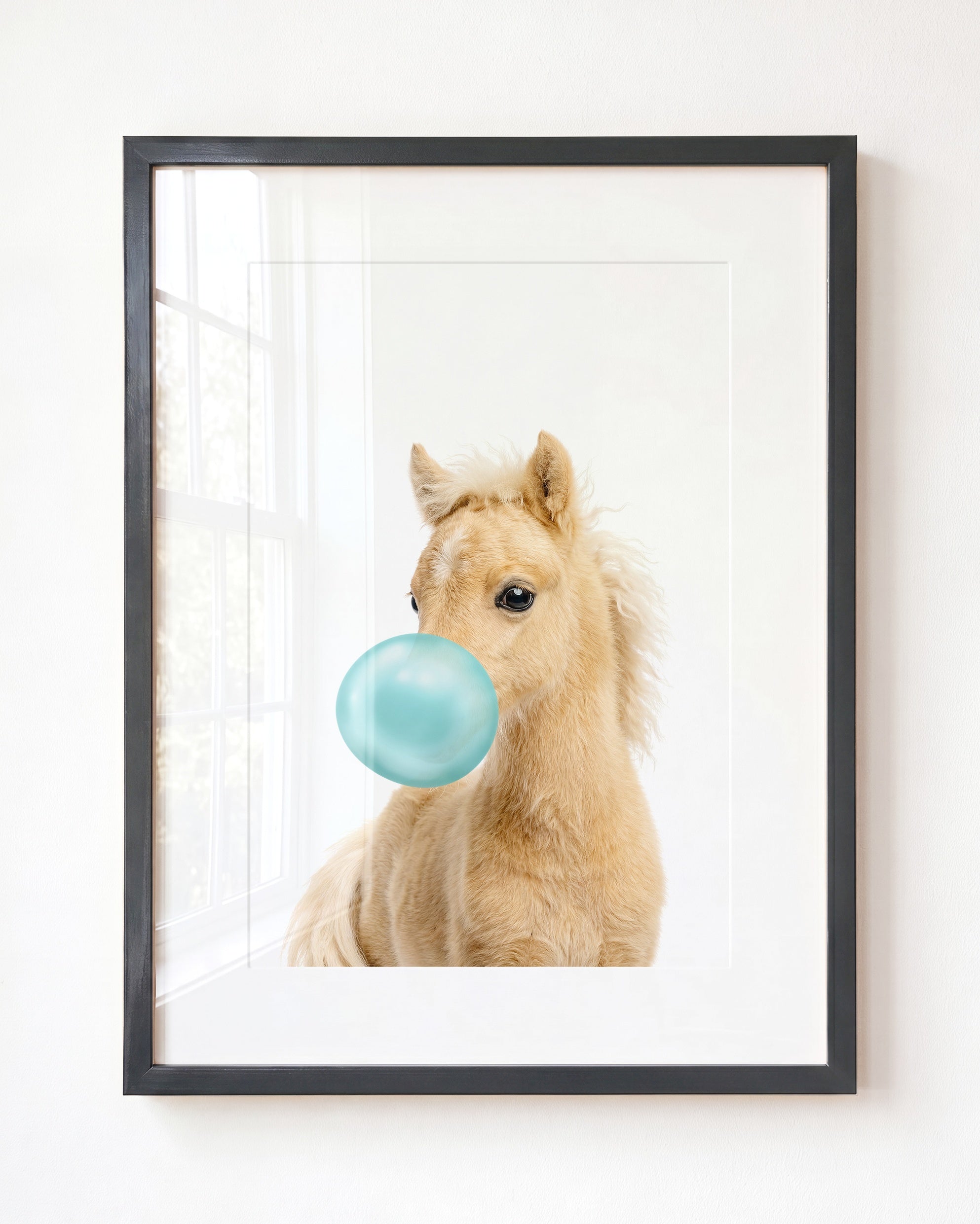 Baby Horse