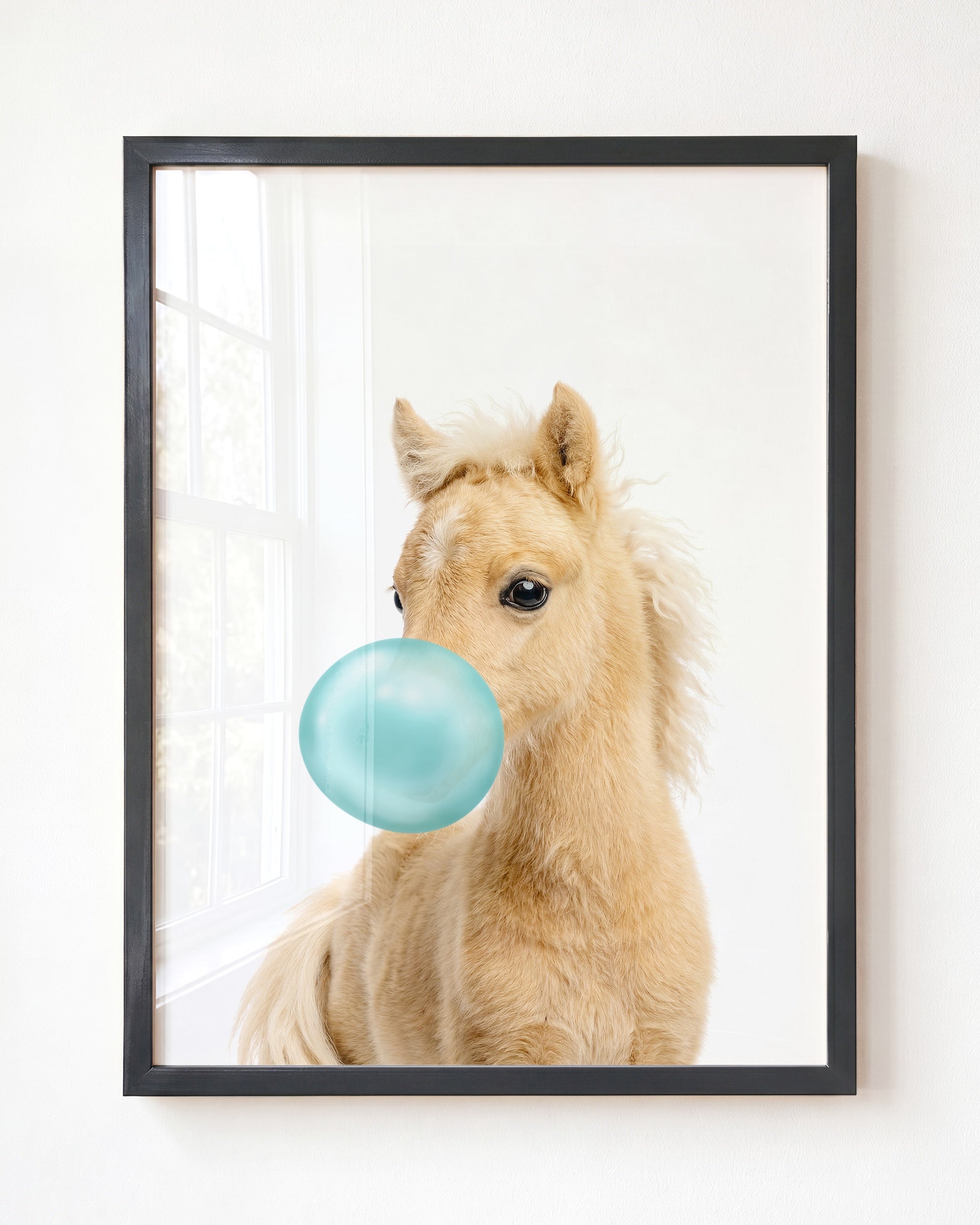 Baby Horse