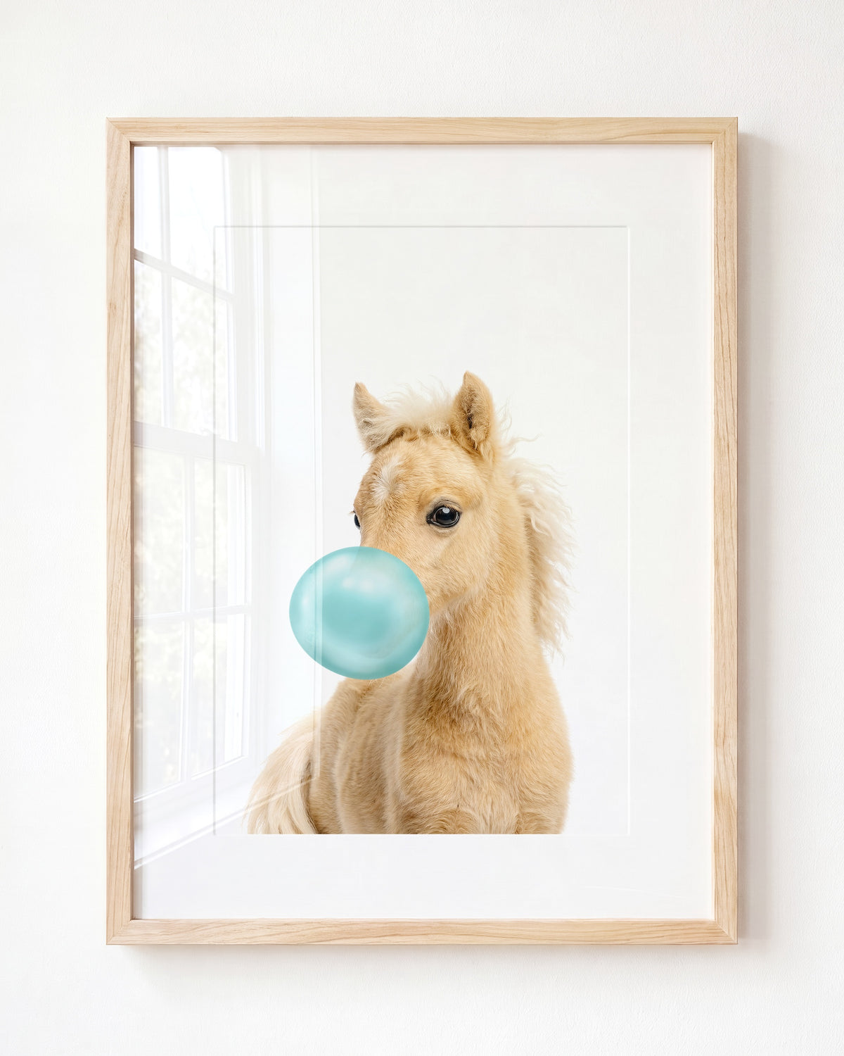 Baby Horse