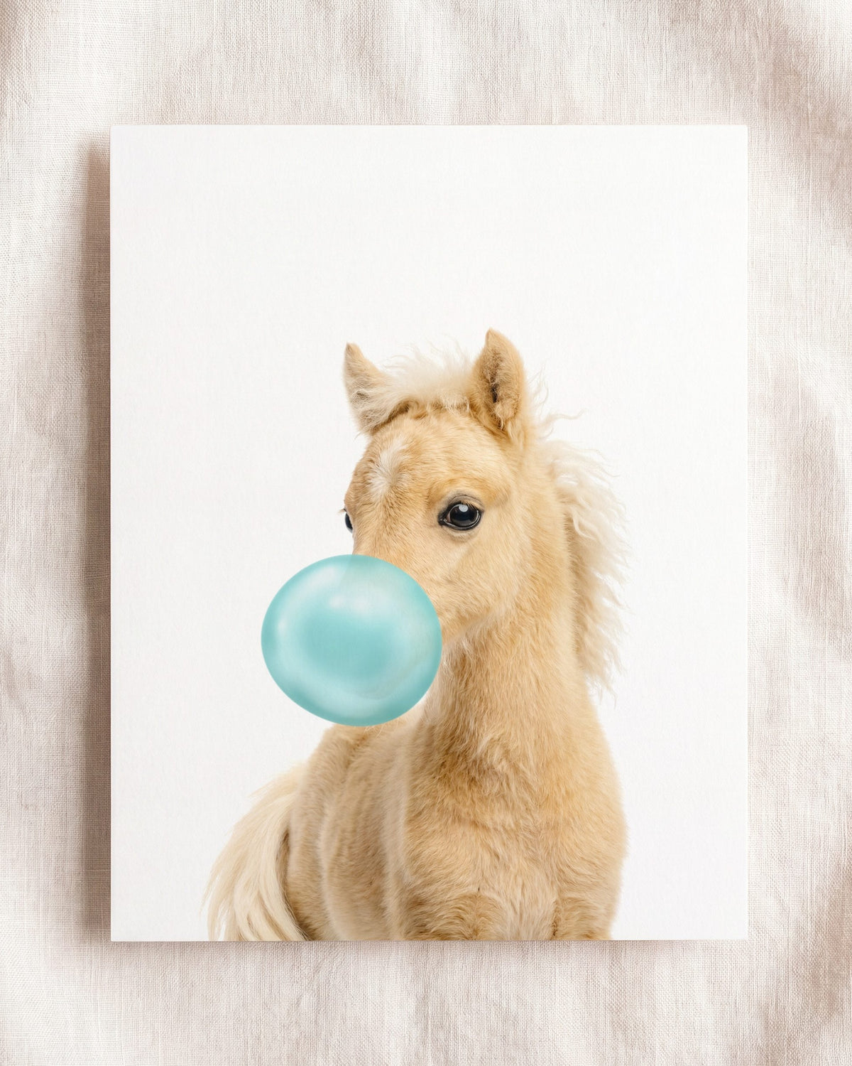 Baby Horse