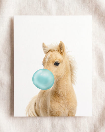 Baby Horse