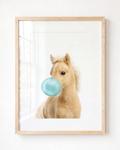 Baby Horse