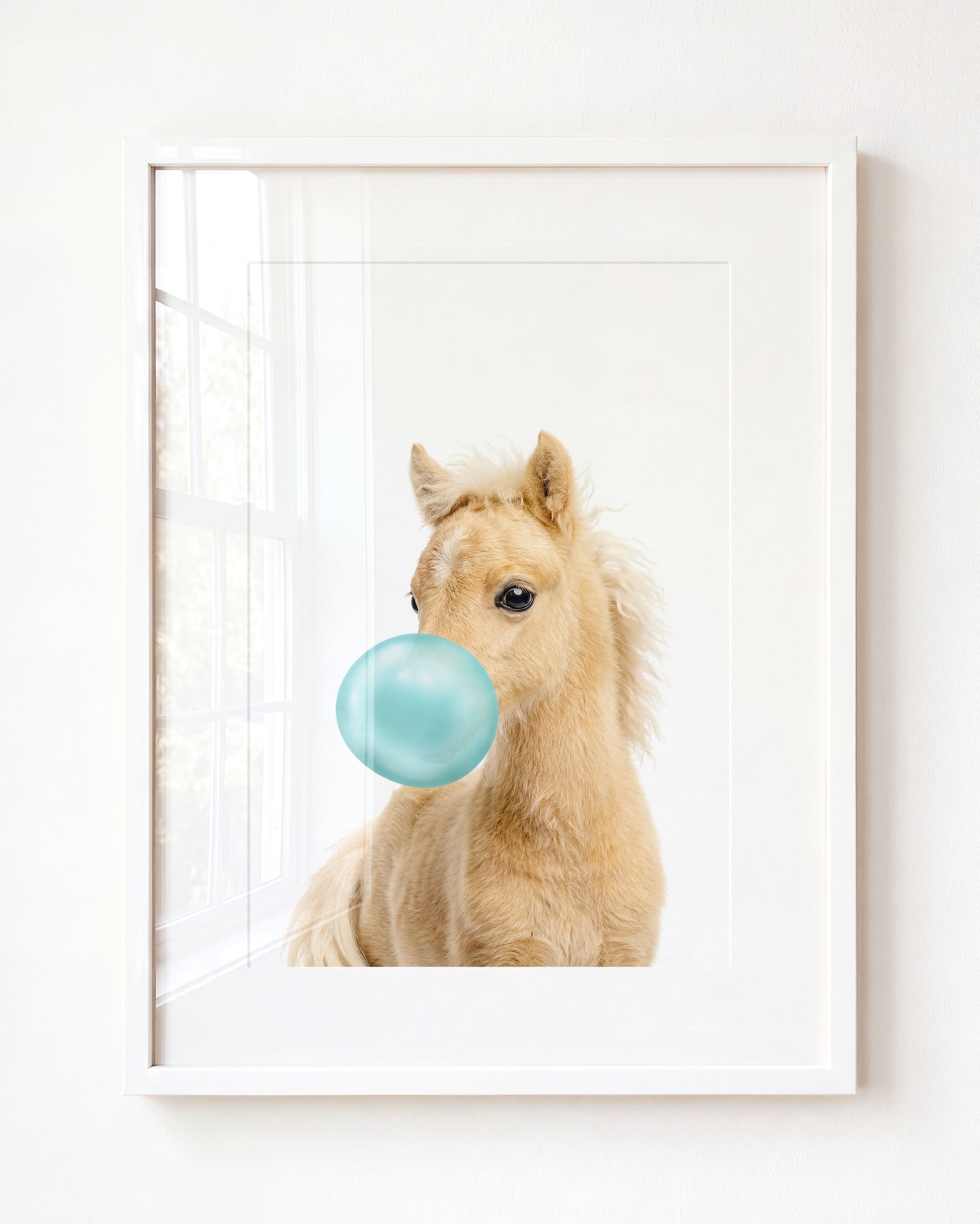 Baby Horse