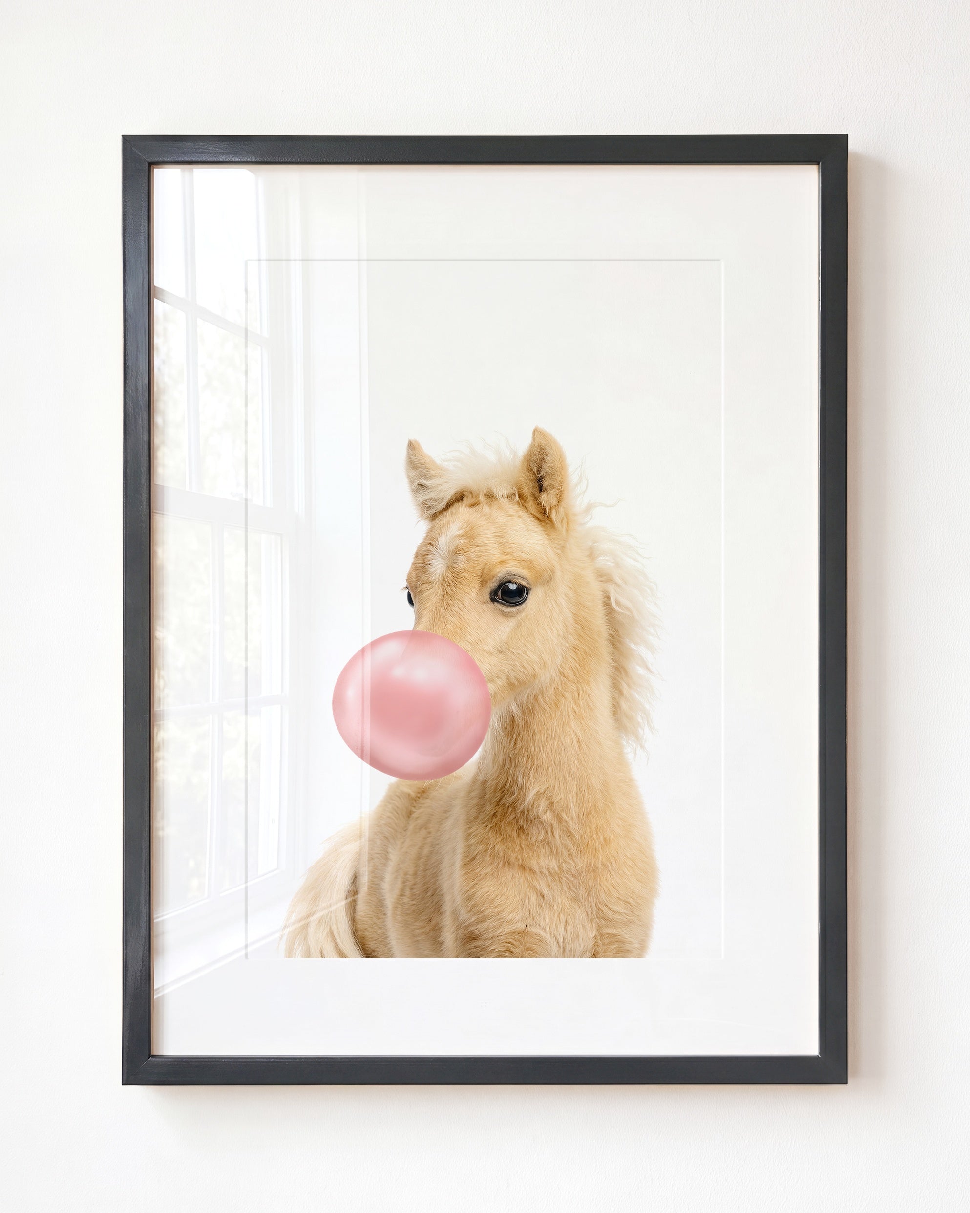 Baby Horse