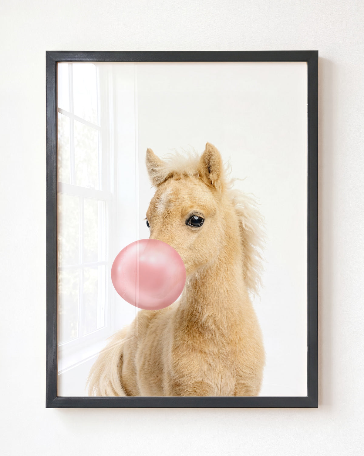 Baby Horse