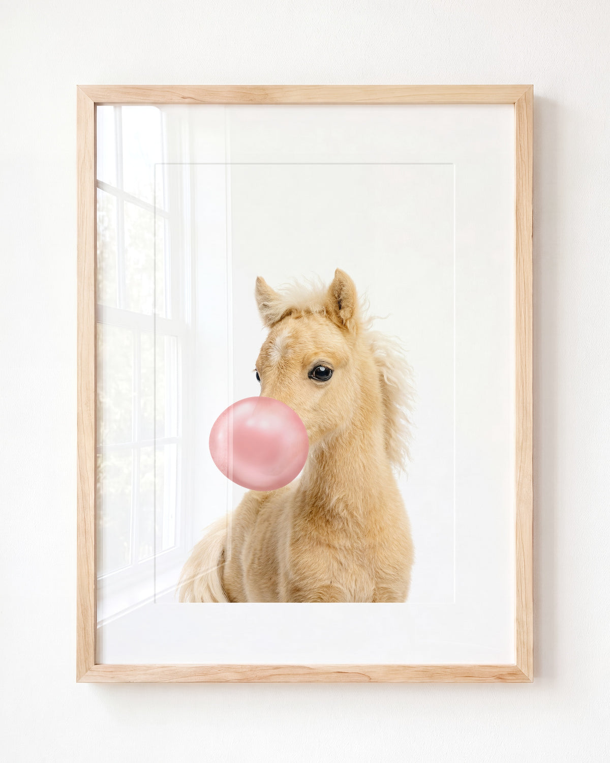 Baby Horse