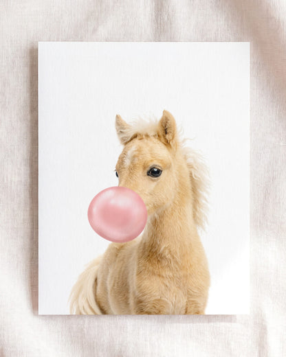 Baby Horse