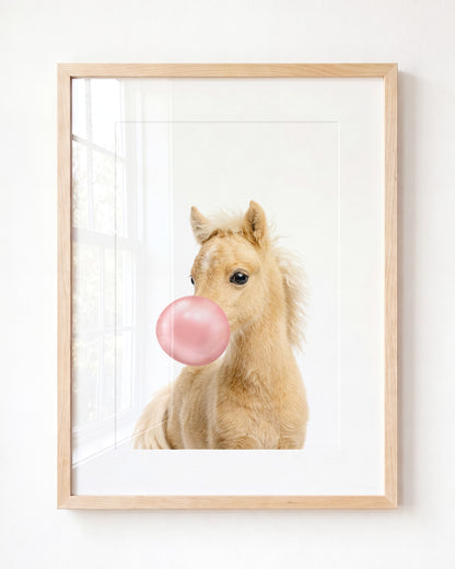 Baby Horse