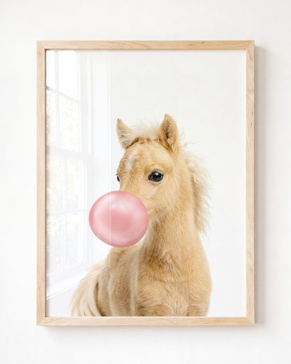 Baby Horse