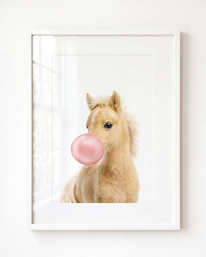Baby Horse