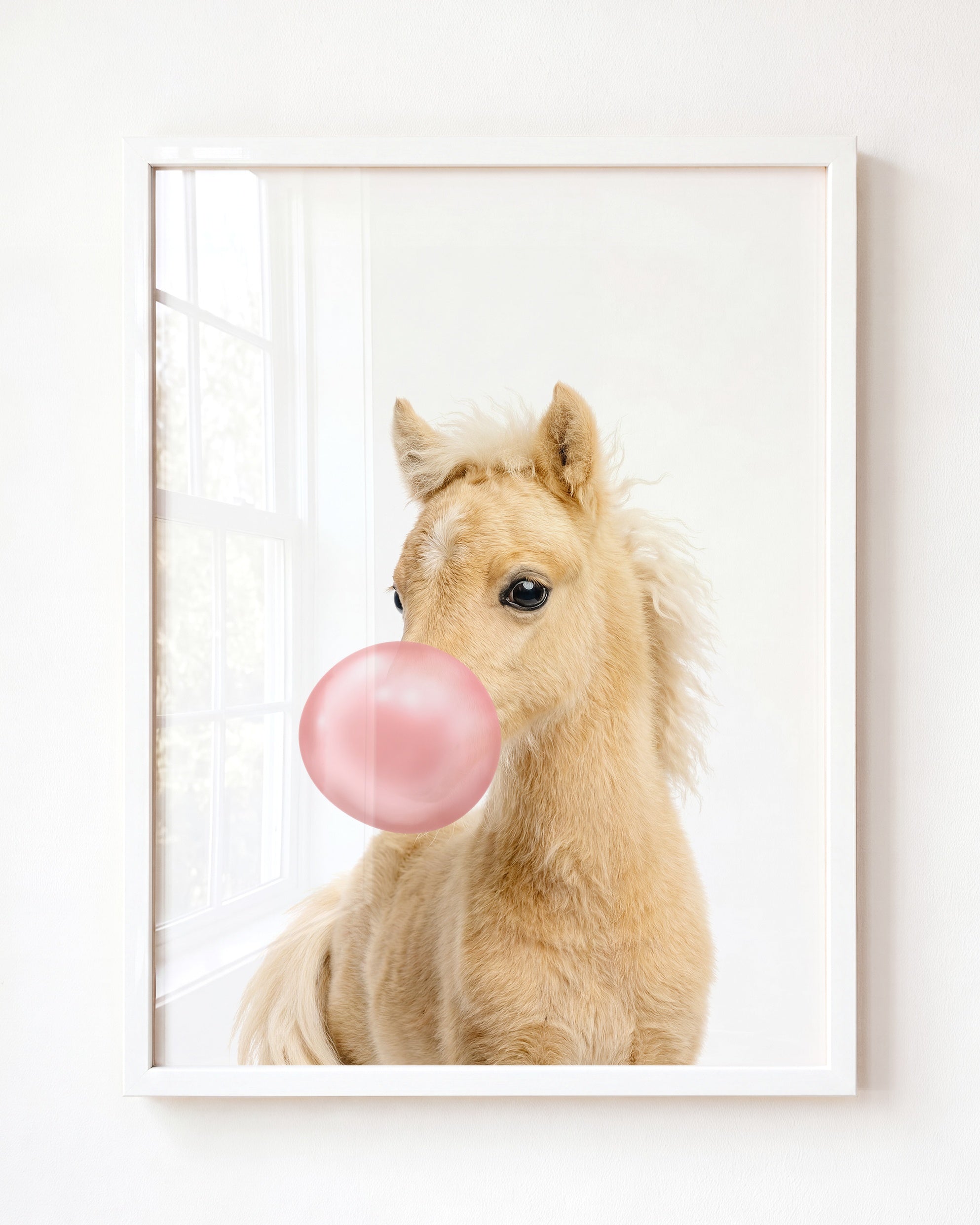 Baby Horse