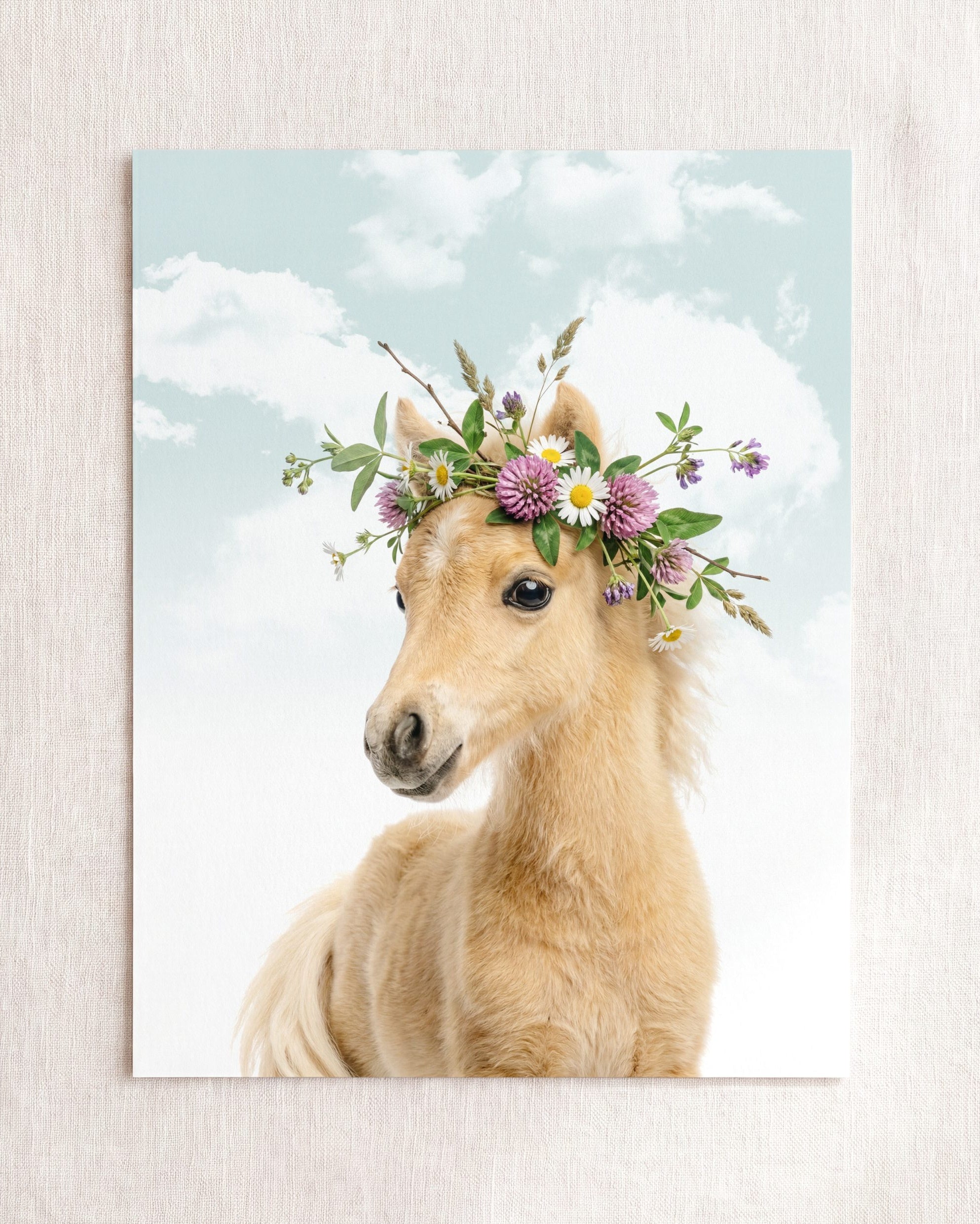 Baby Horse