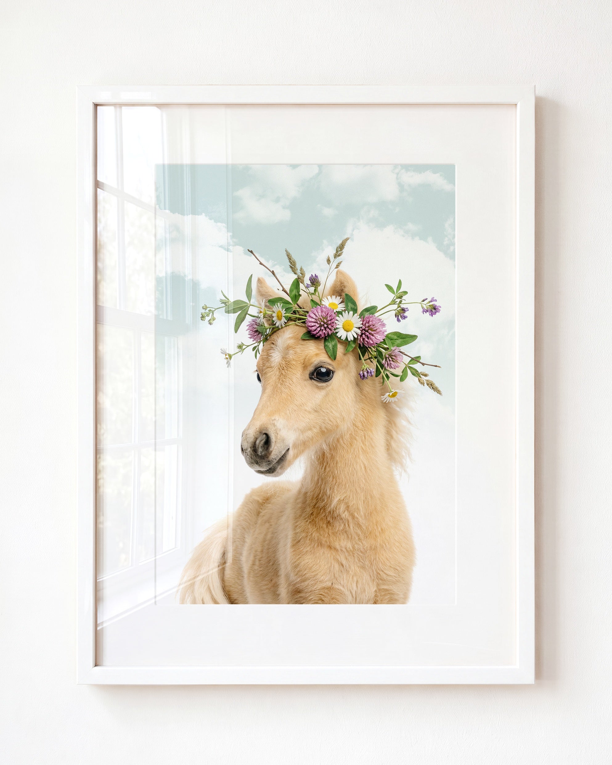 Baby Horse