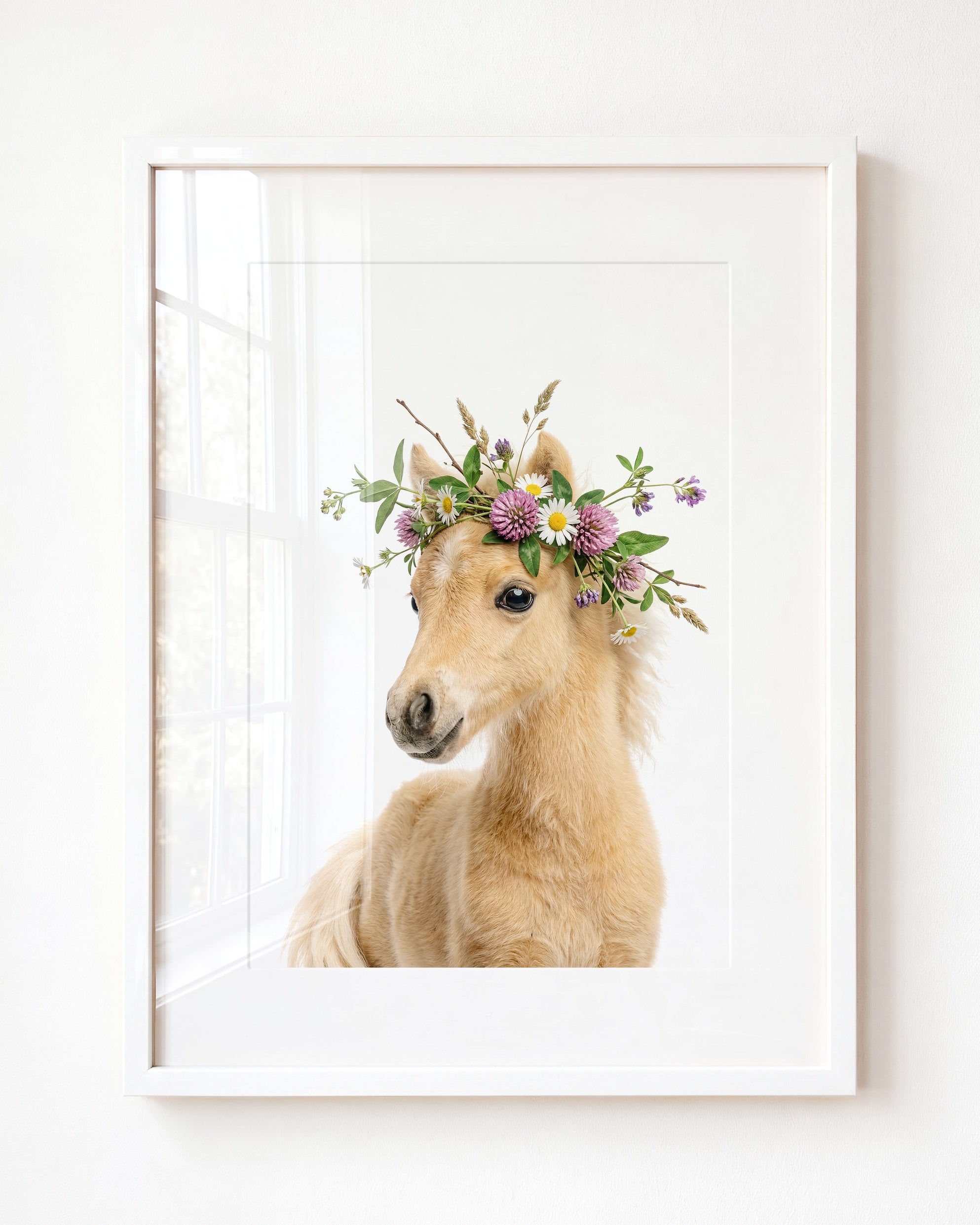 Baby Horse