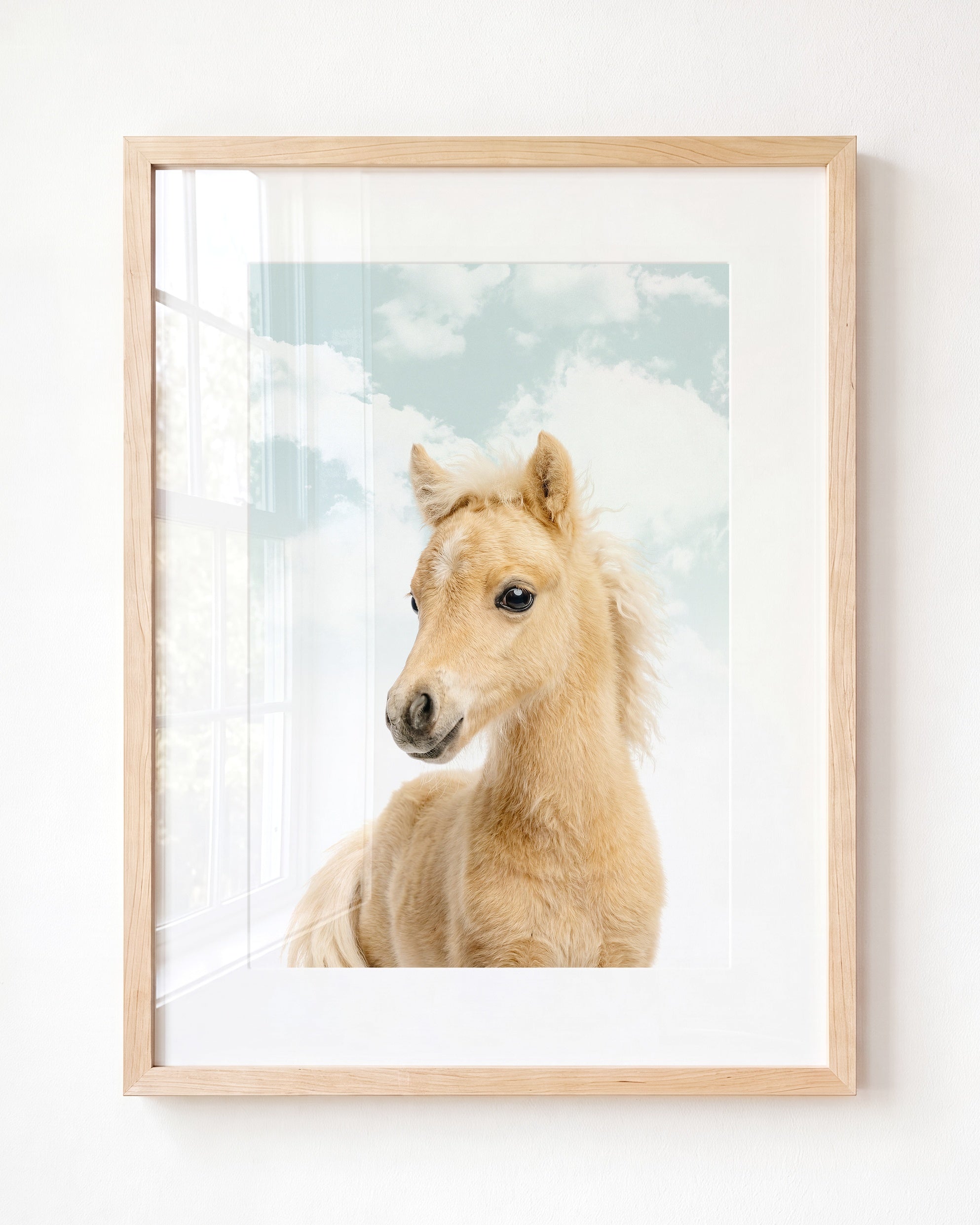 Baby Horse