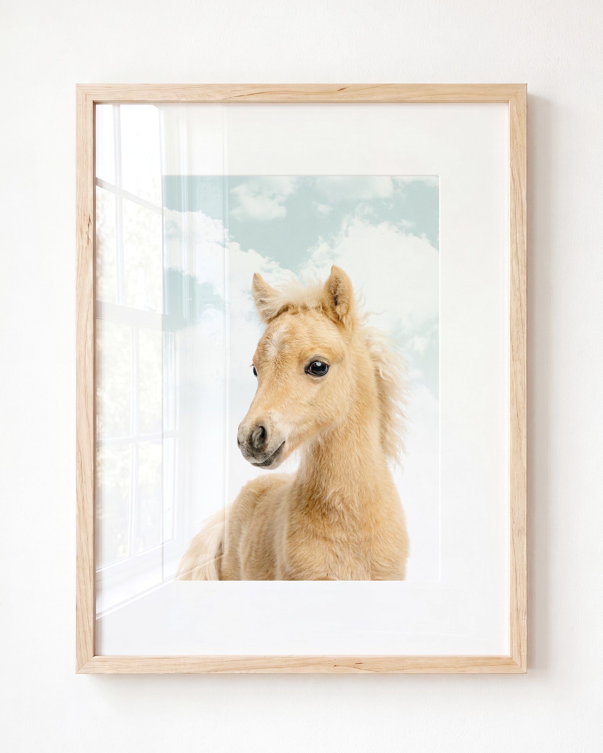 Baby Horse