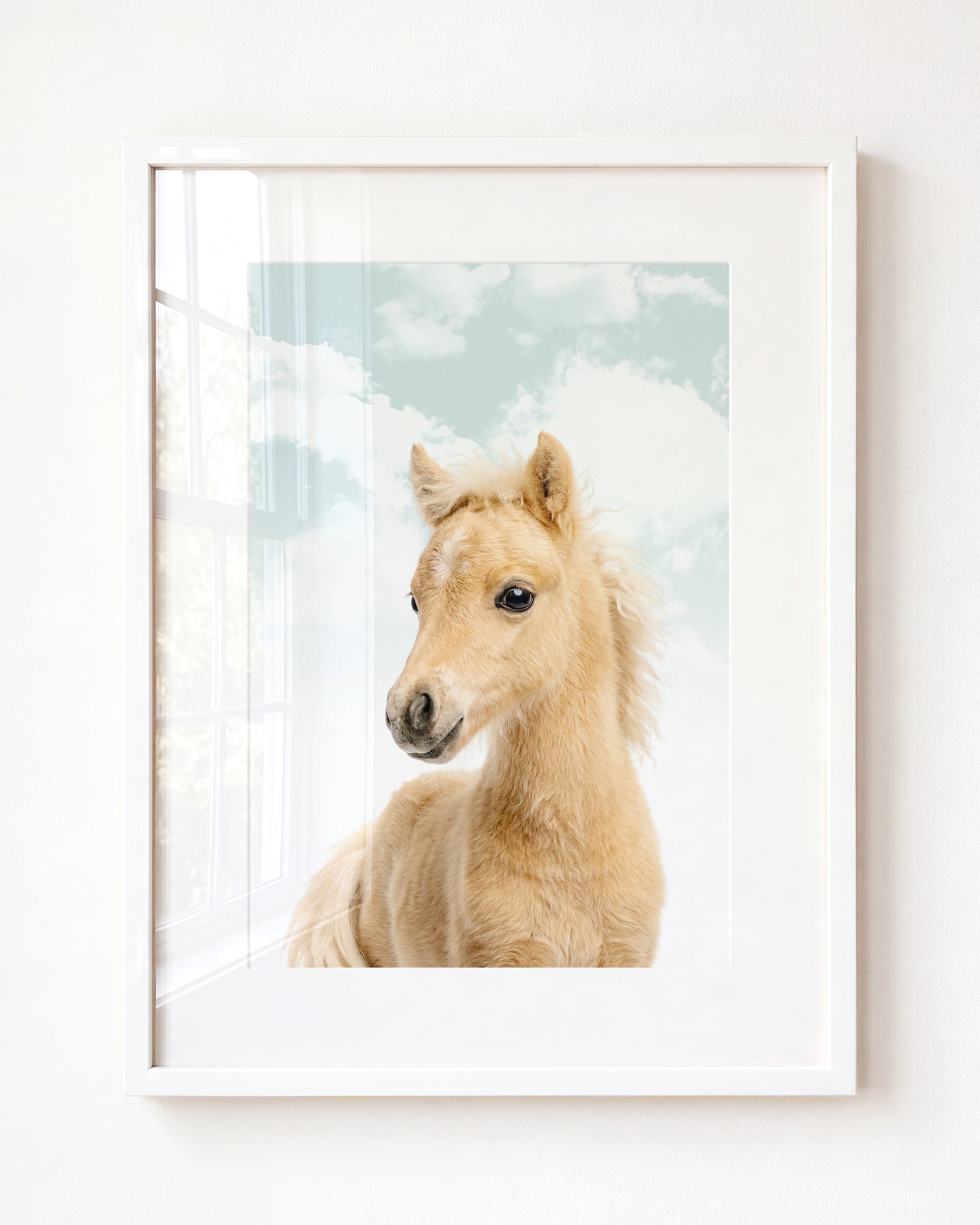 Baby Horse