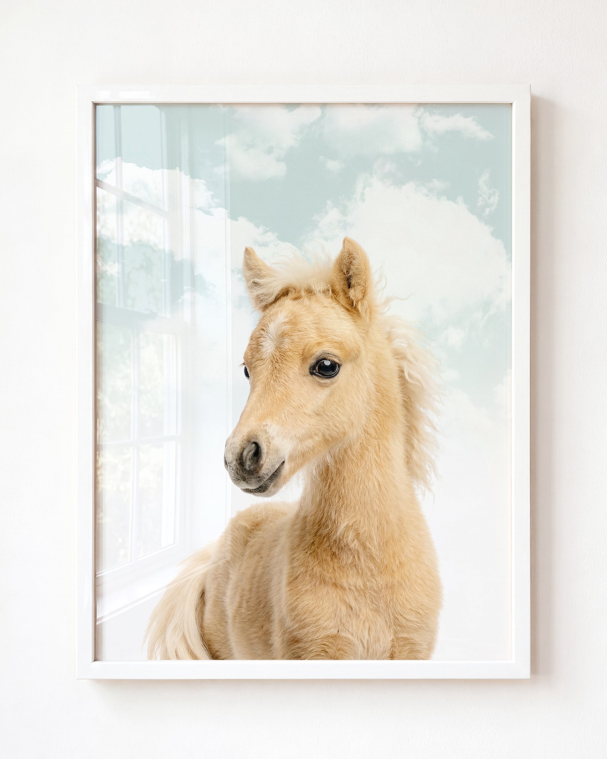 Baby Horse