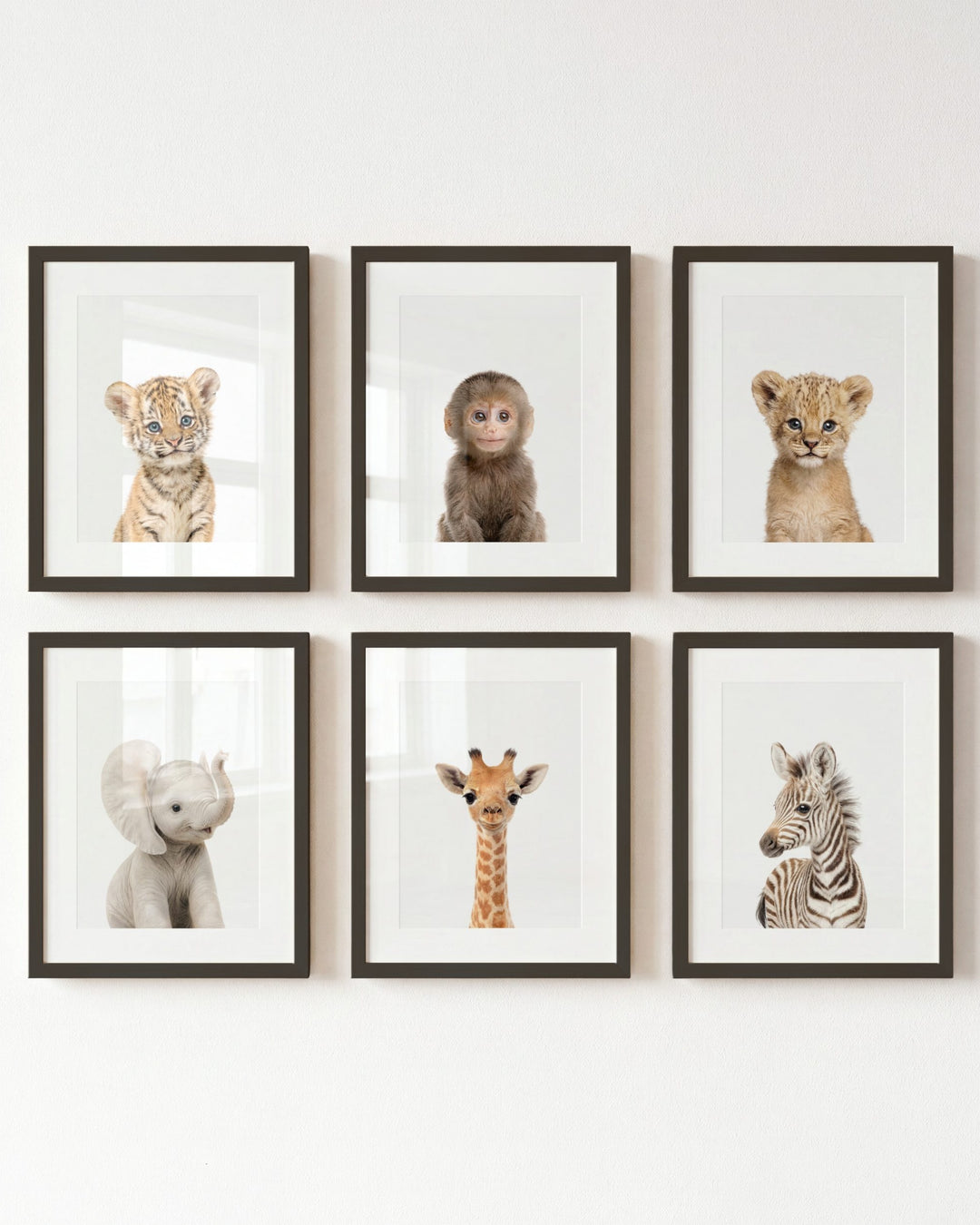 Baby Jungle &amp; Safari Animals Set of 6 Nursery Decor Prints