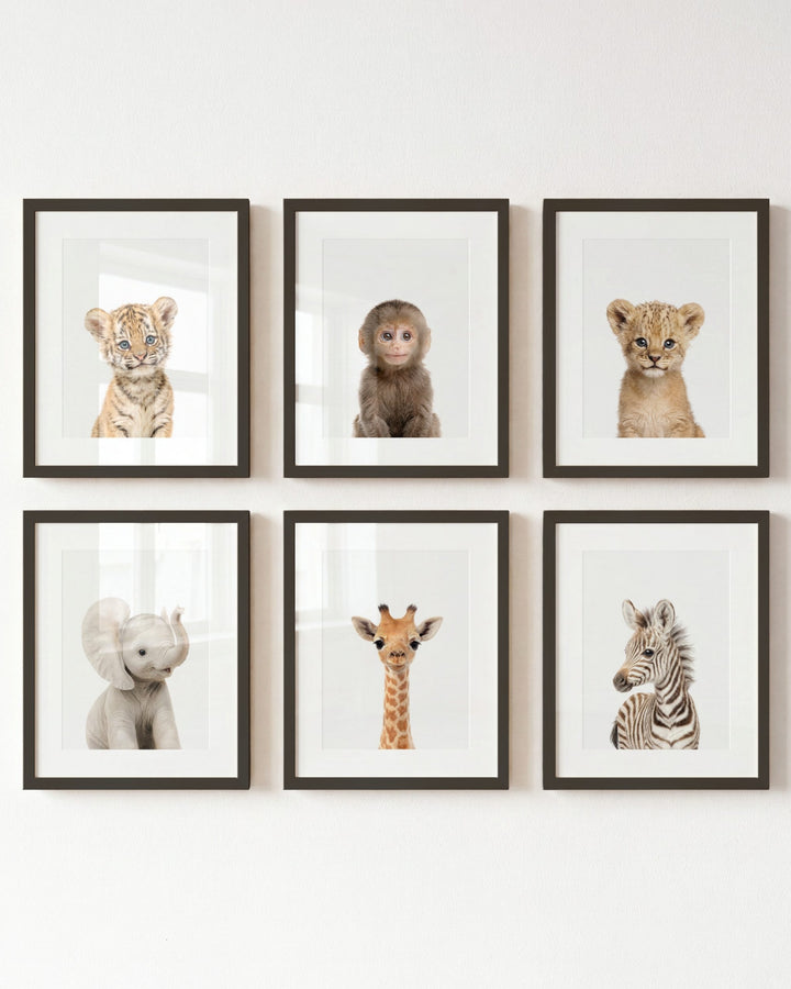 Baby Jungle & Safari Animals Set of 6 Nursery Decor Prints