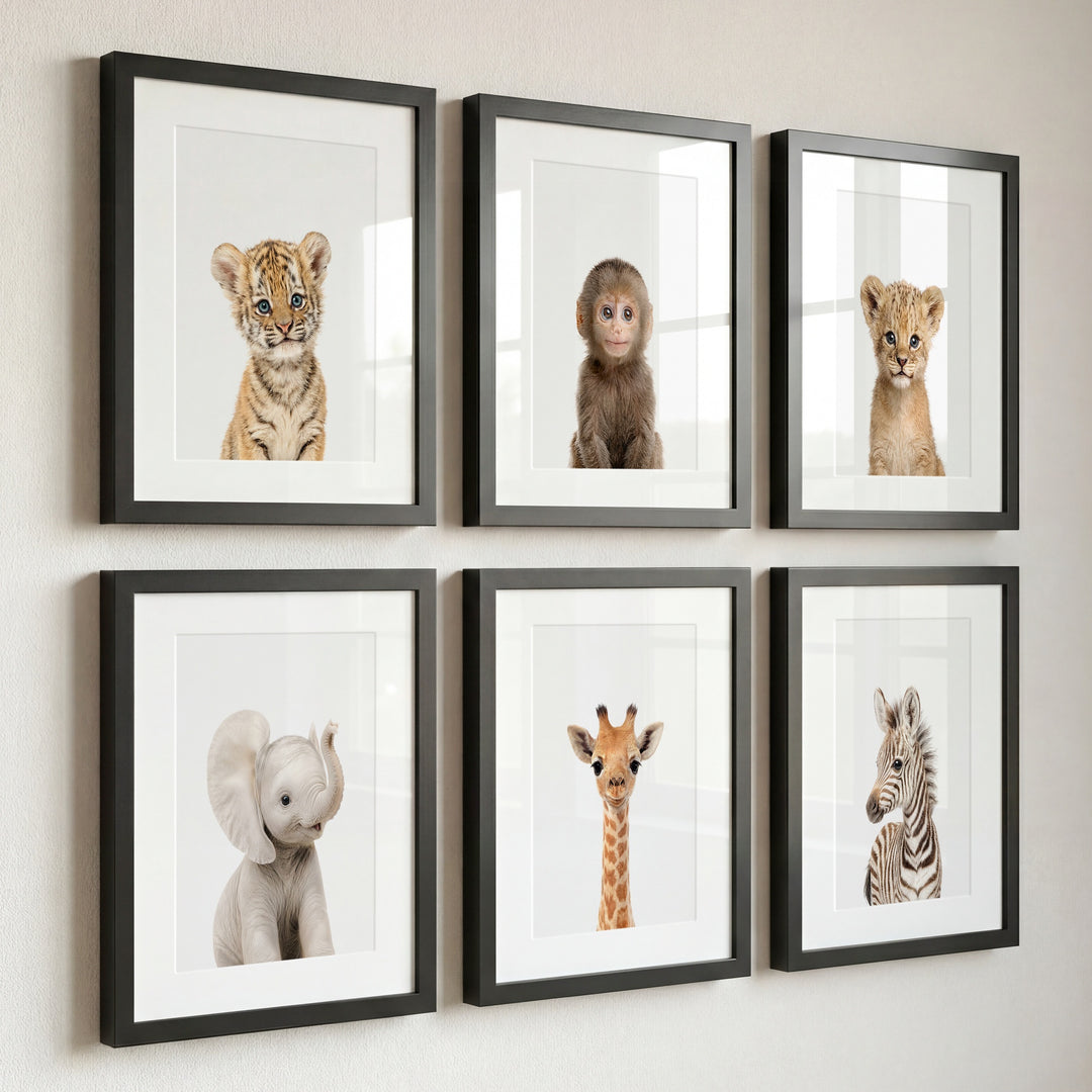 Baby Jungle & Safari Animals Set of 6 Nursery Decor Prints