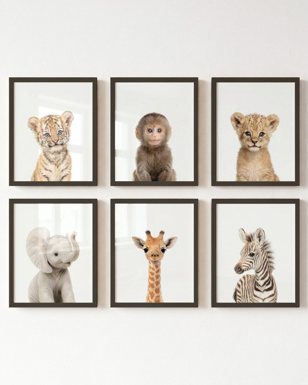 Baby Jungle &amp; Safari Animals Set of 6 Nursery Decor Prints