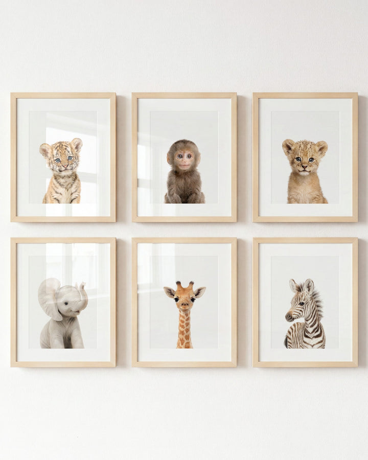 Baby Jungle & Safari Animals Set of 6 Nursery Decor Prints