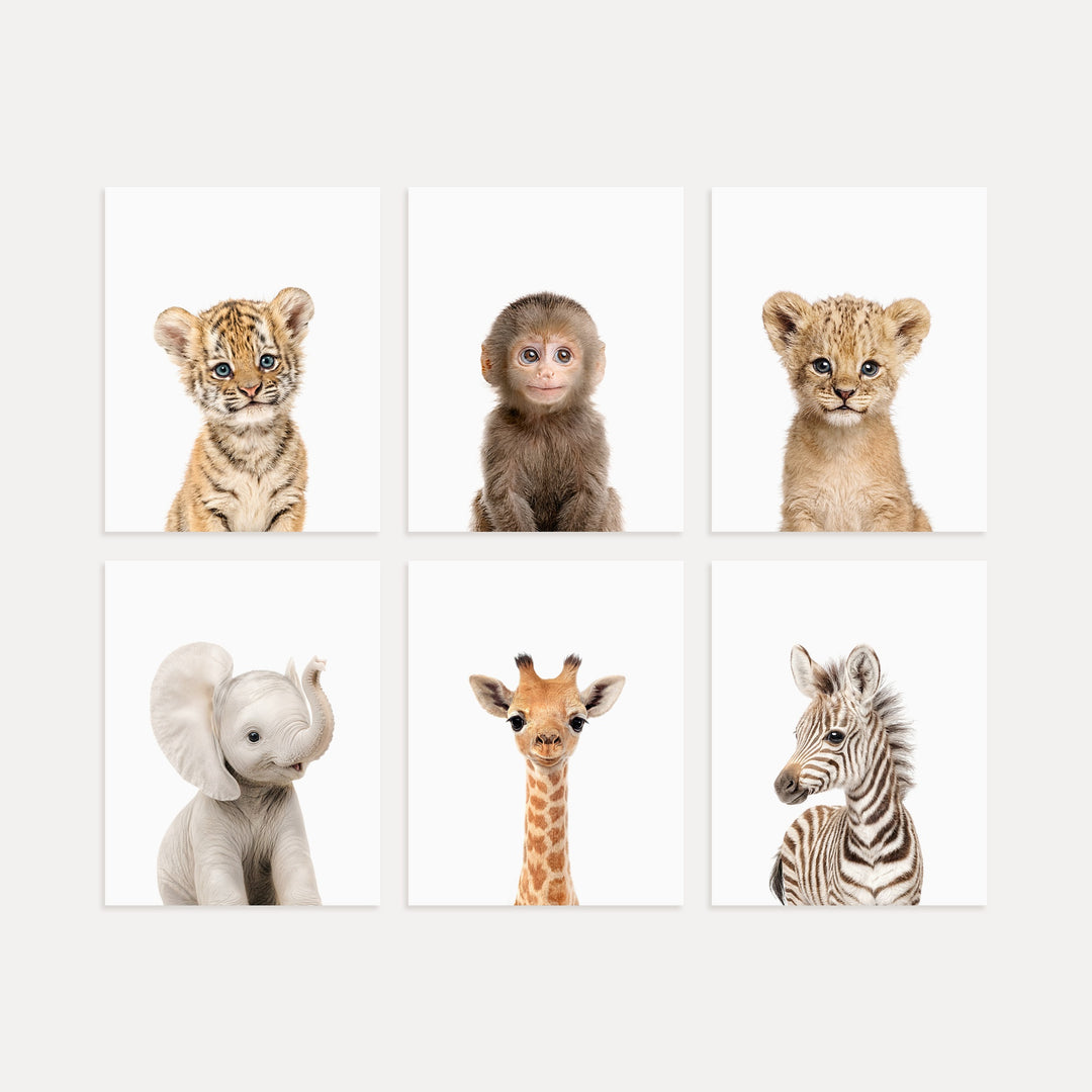 Baby Jungle & Safari Animals Set of 6 Nursery Decor Prints
