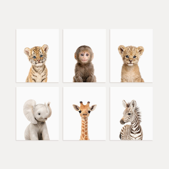 Baby Jungle & Safari Animals Set of 6 Nursery Decor Prints