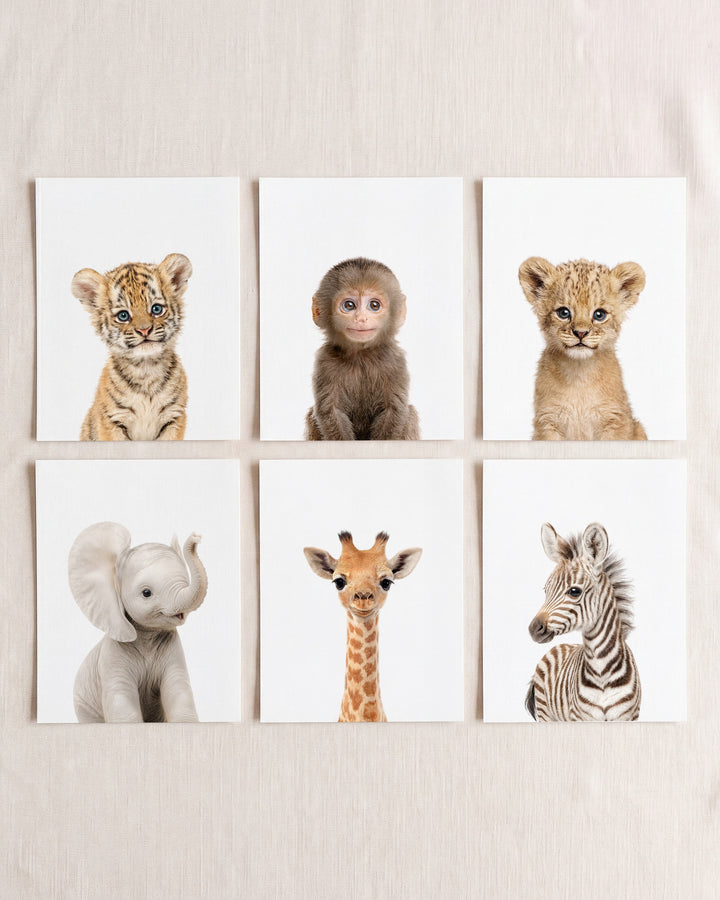 Baby Jungle & Safari Animals Set of 6 Nursery Decor Prints