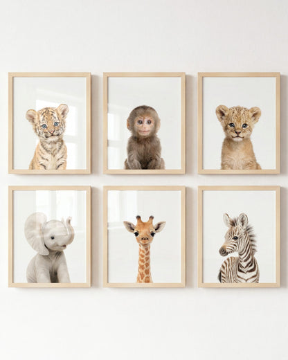 Baby Jungle & Safari Animals Set of 6 Nursery Decor Prints – Framed