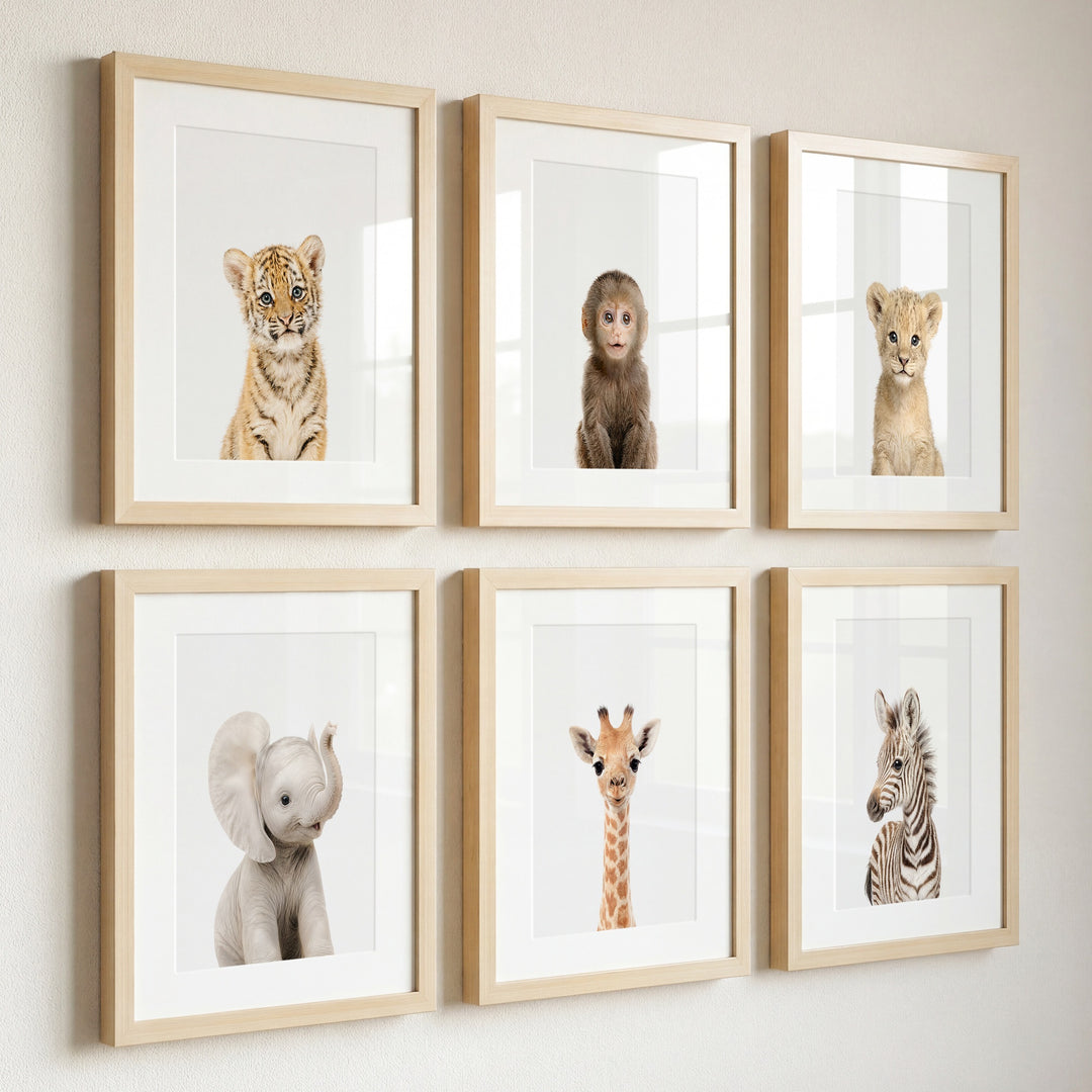 Baby Jungle & Safari Animals Set of 6 Nursery Decor Prints