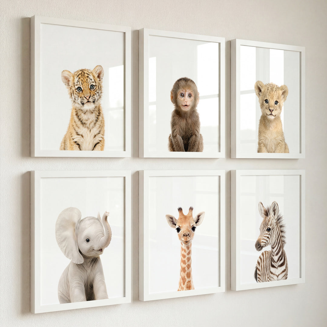 Baby Jungle & Safari Animals Set of 6 Nursery Decor Prints