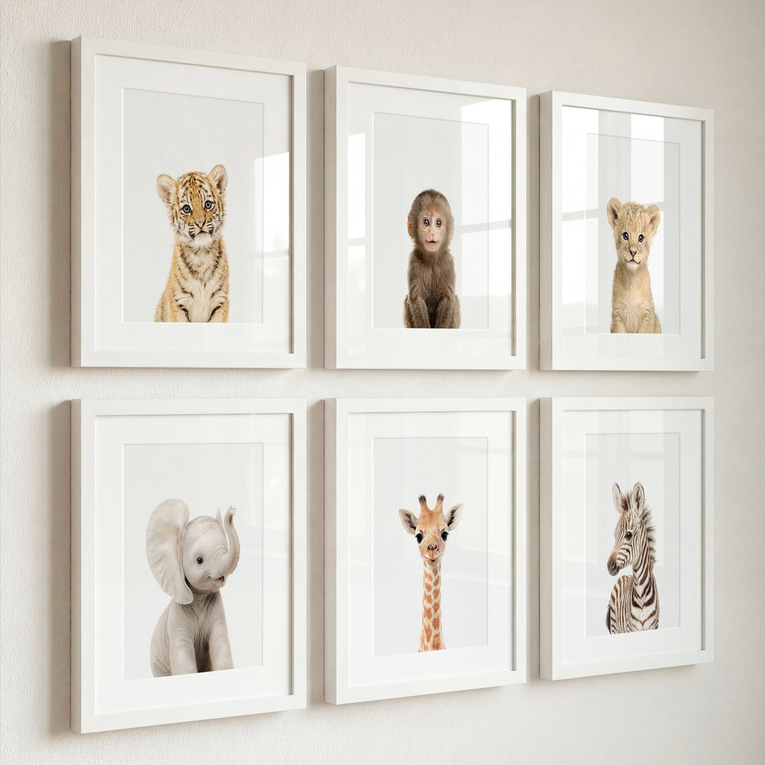 Baby Jungle & Safari Animals Set of 6 Nursery Decor Prints