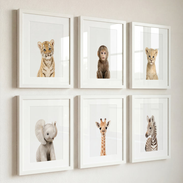 Baby Jungle & Safari Animals Set of 6 Nursery Decor Prints