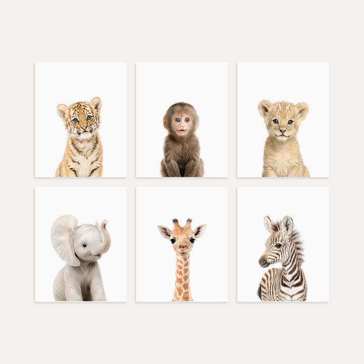 Baby Jungle & Safari Animals Set of 6 Nursery Decor Prints