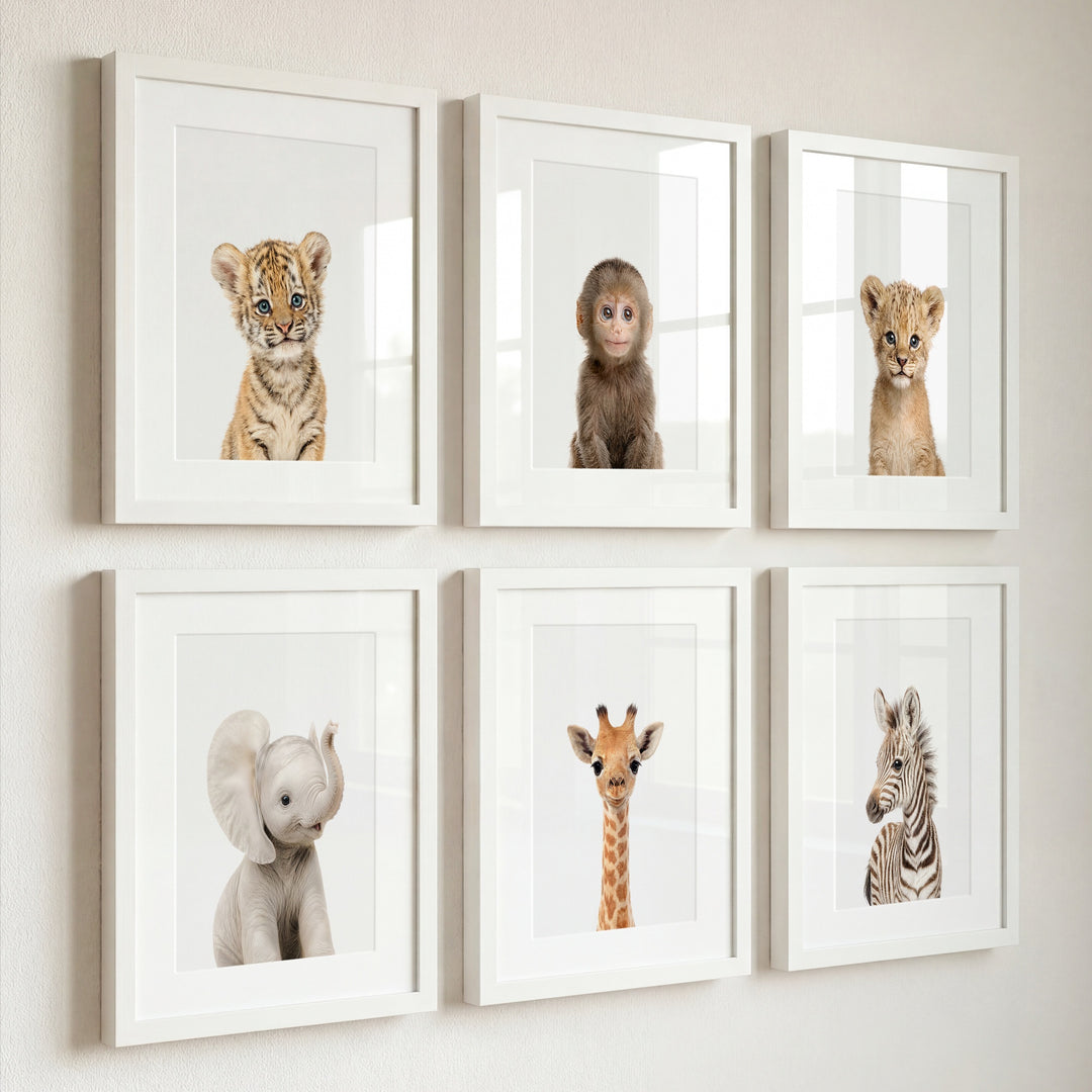 Baby Jungle & Safari Animals Set of 6 Nursery Decor Prints