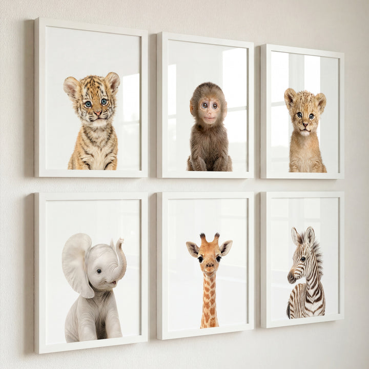 Baby Jungle & Safari Animals Set of 6 Nursery Decor Prints