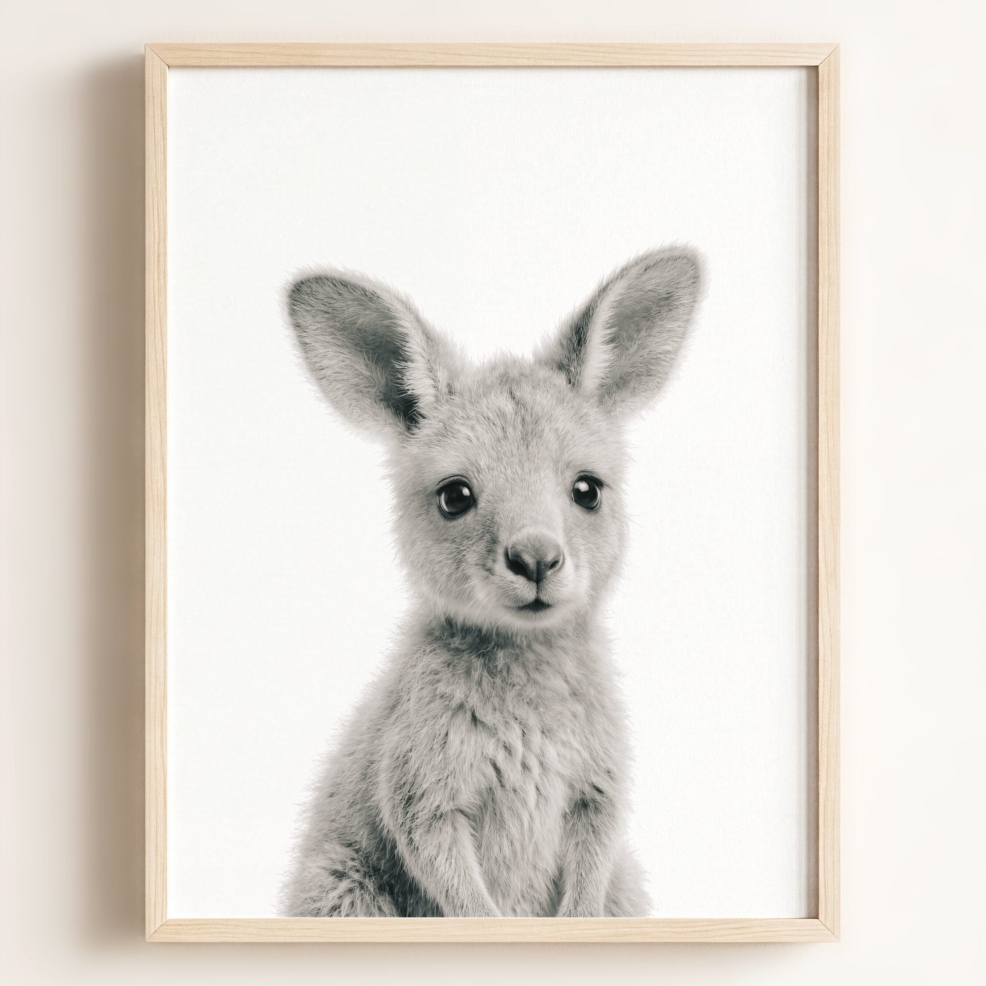 Baby Kangaroo