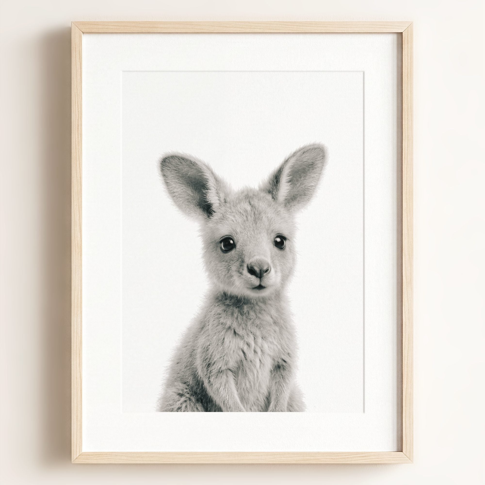 Baby Kangaroo