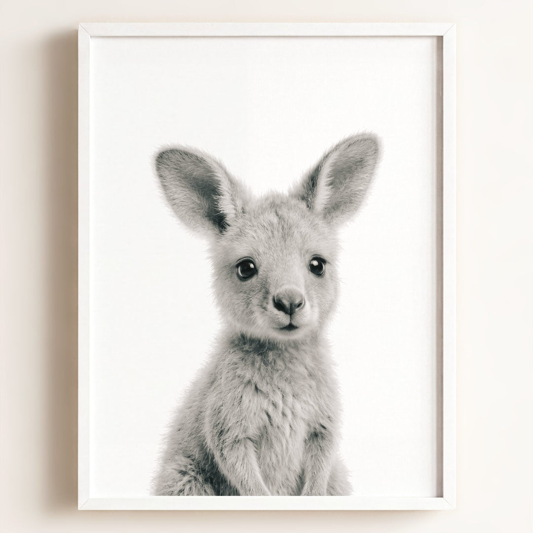 Baby Kangaroo