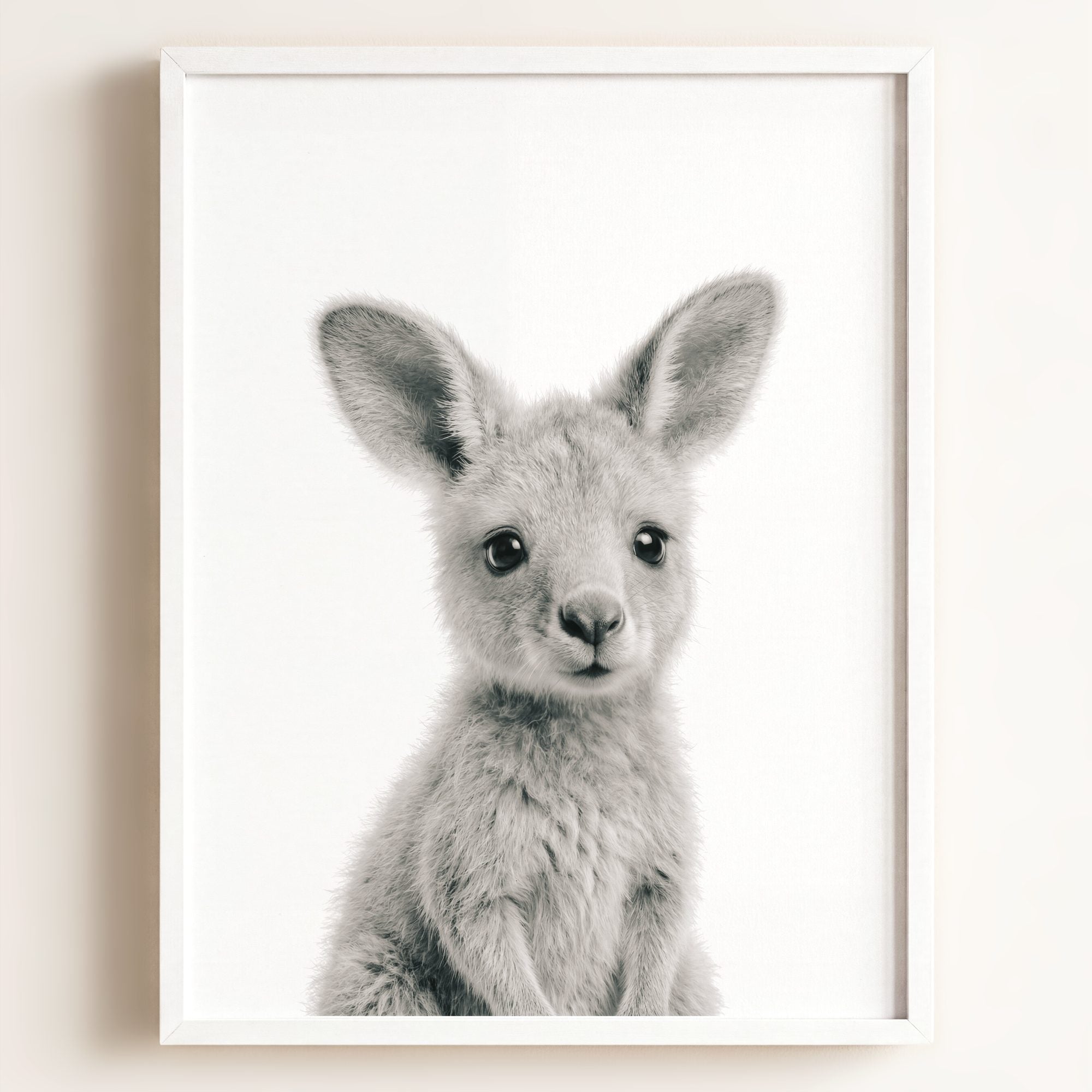Baby Kangaroo