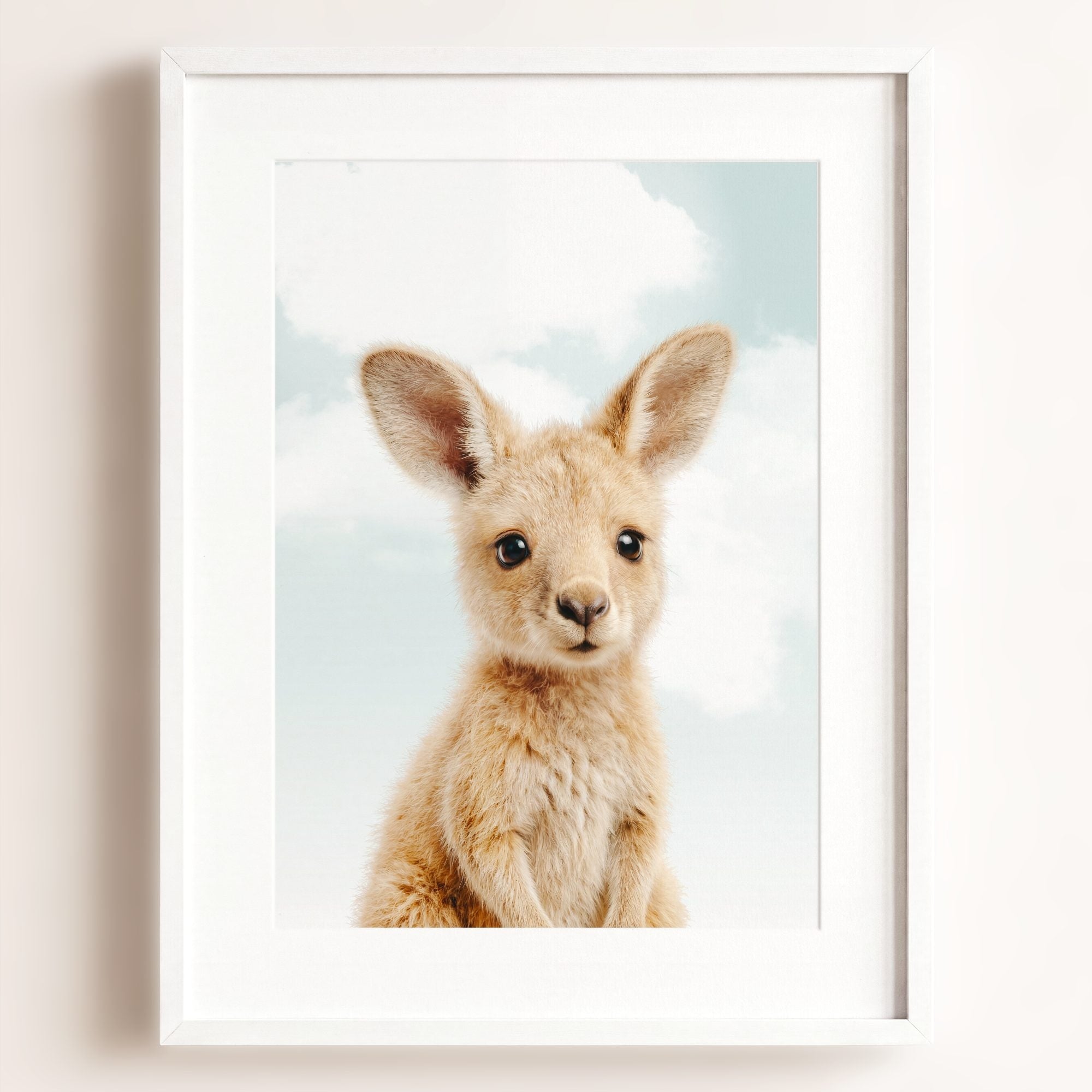 Baby Kangaroo