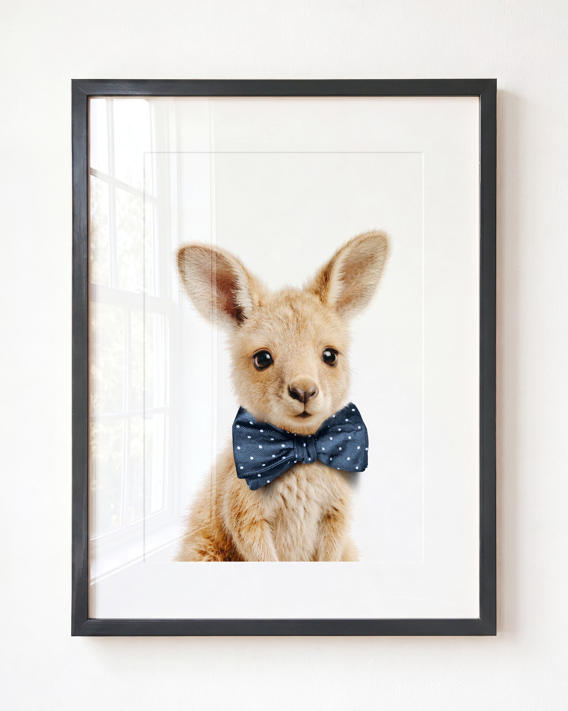 Baby Kangaroo