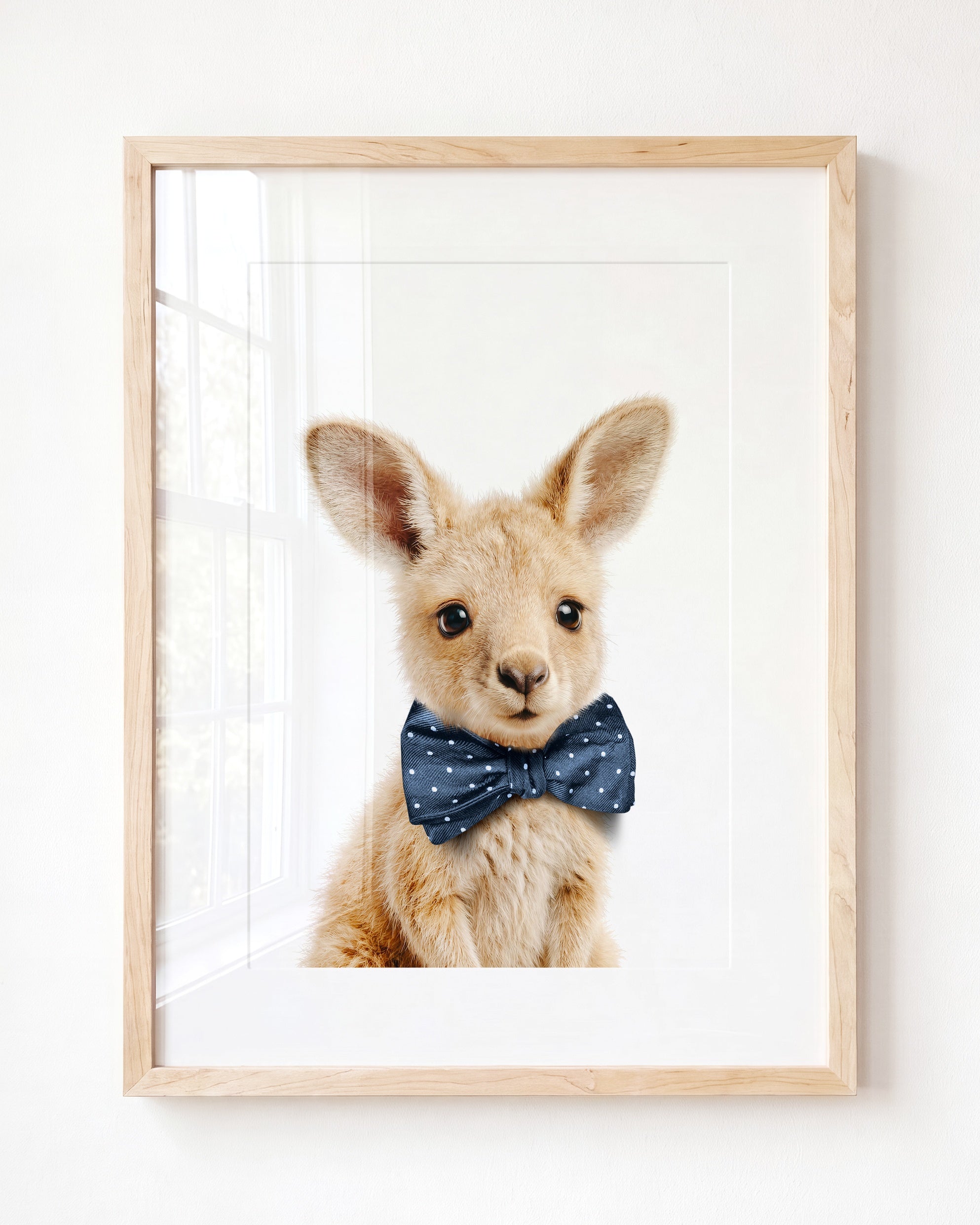 Baby Kangaroo
