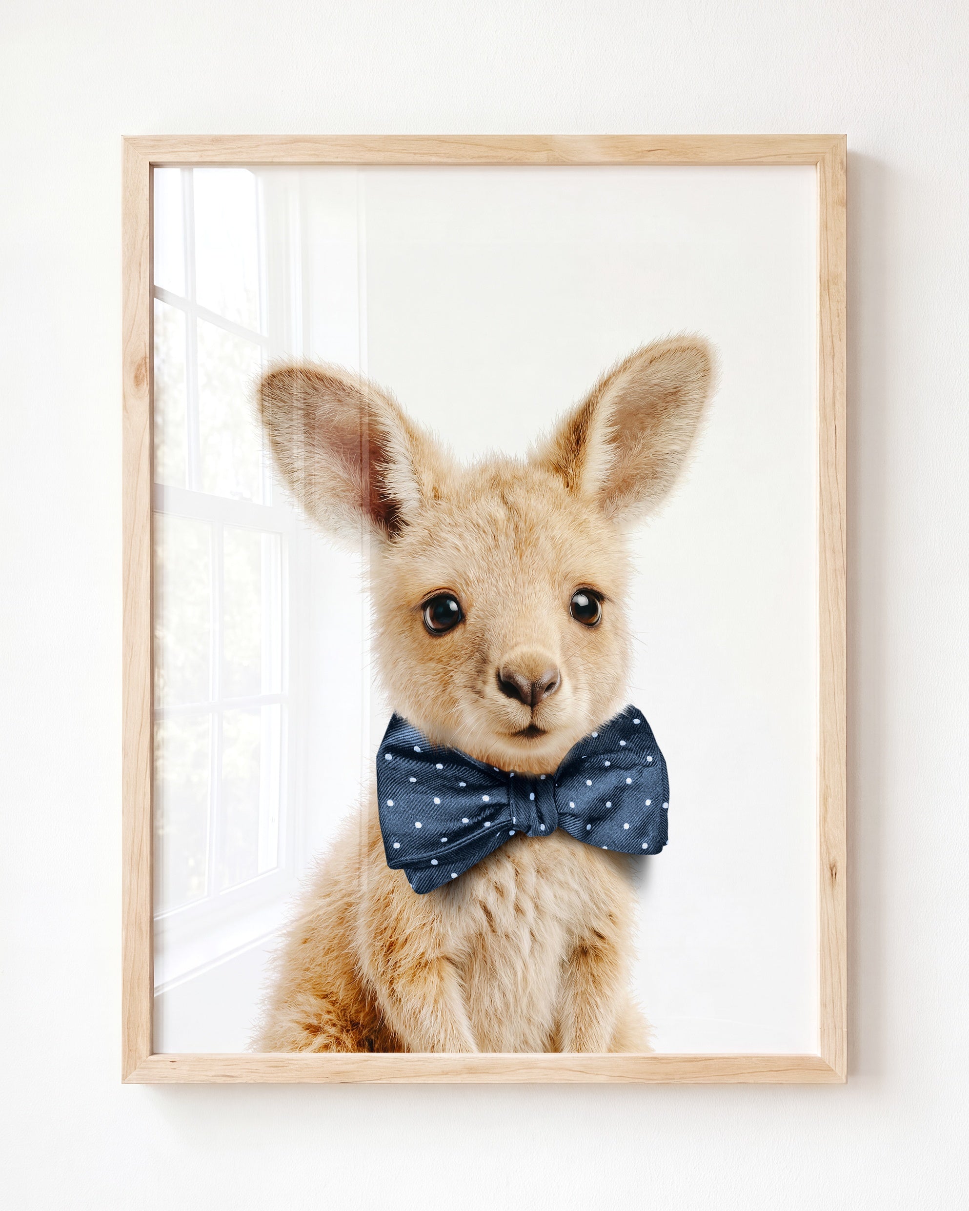 Baby Kangaroo
