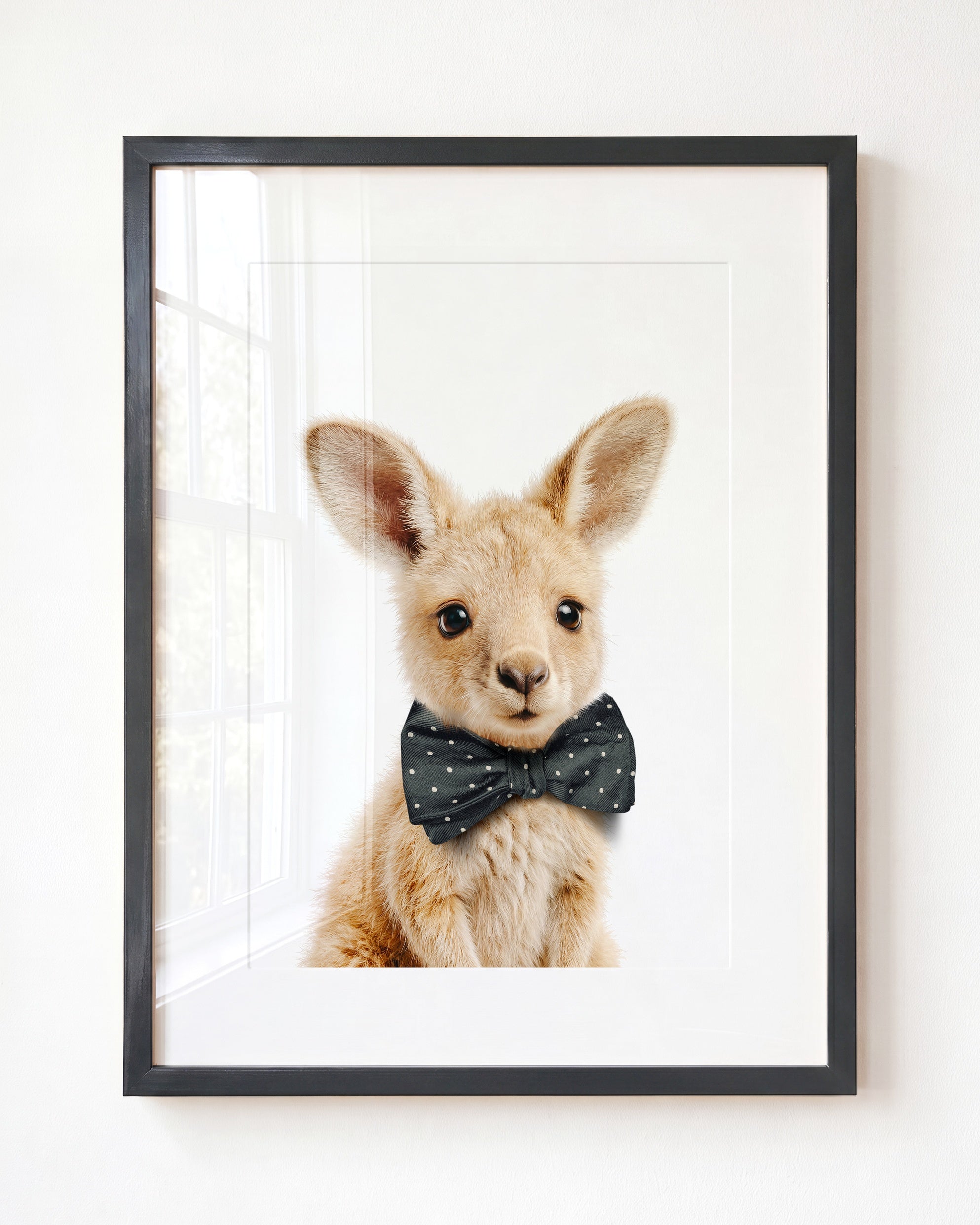 Baby Kangaroo