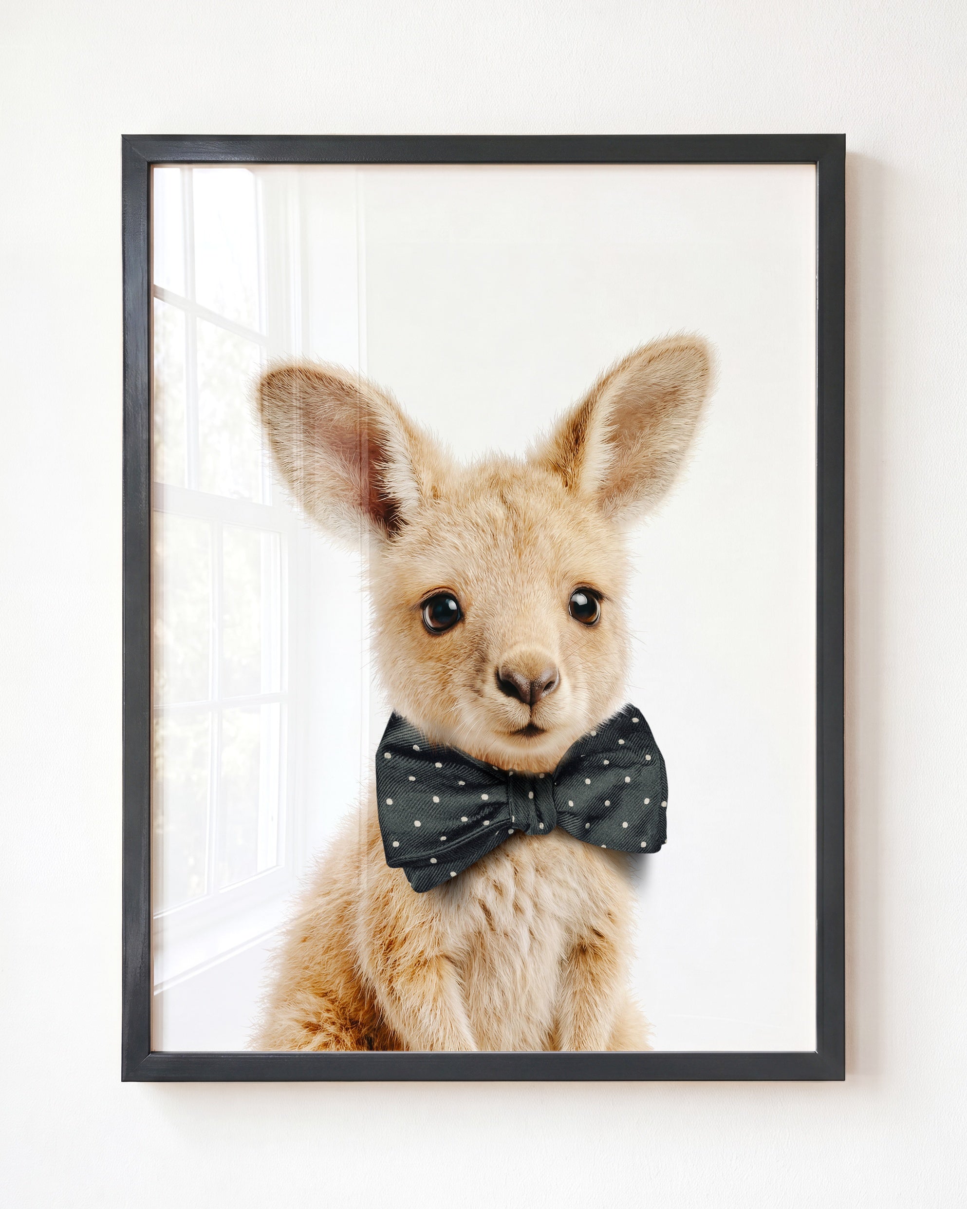 Baby Kangaroo